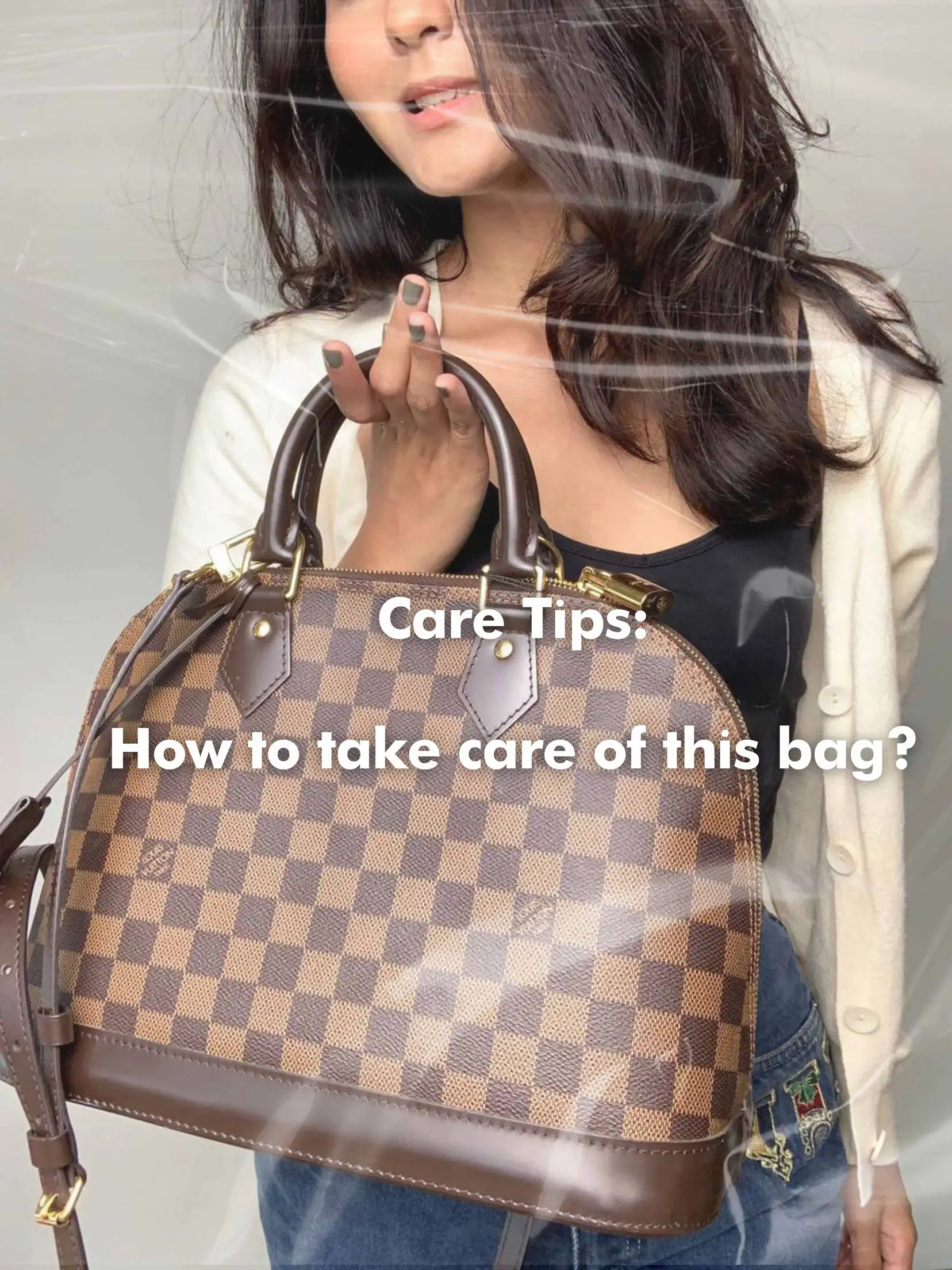 Is the LV Alma PM Damier Ebene Bag Worth The Price Galeri