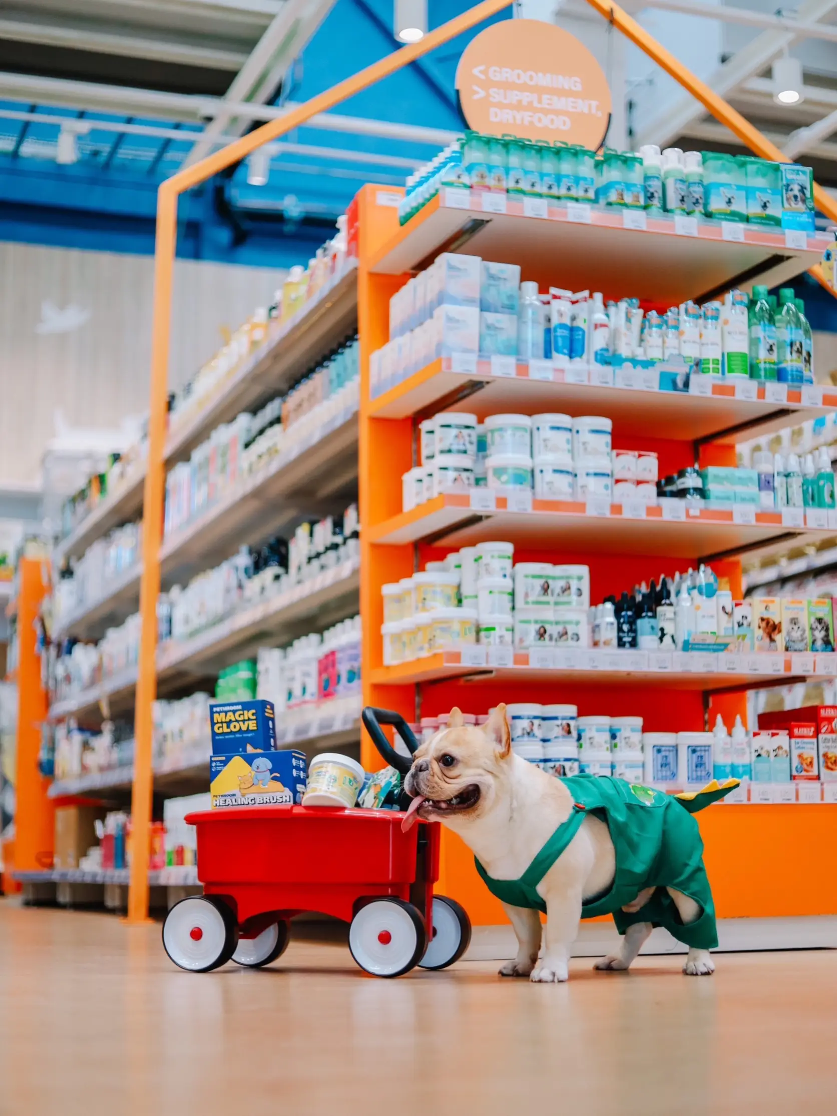 พาลูกๆไปช้อปกัน Pet ‘N Me สาขาโรบินสัน ไลฟ์สไตล์ราชพฤกษ์ แกลเลอรีที่