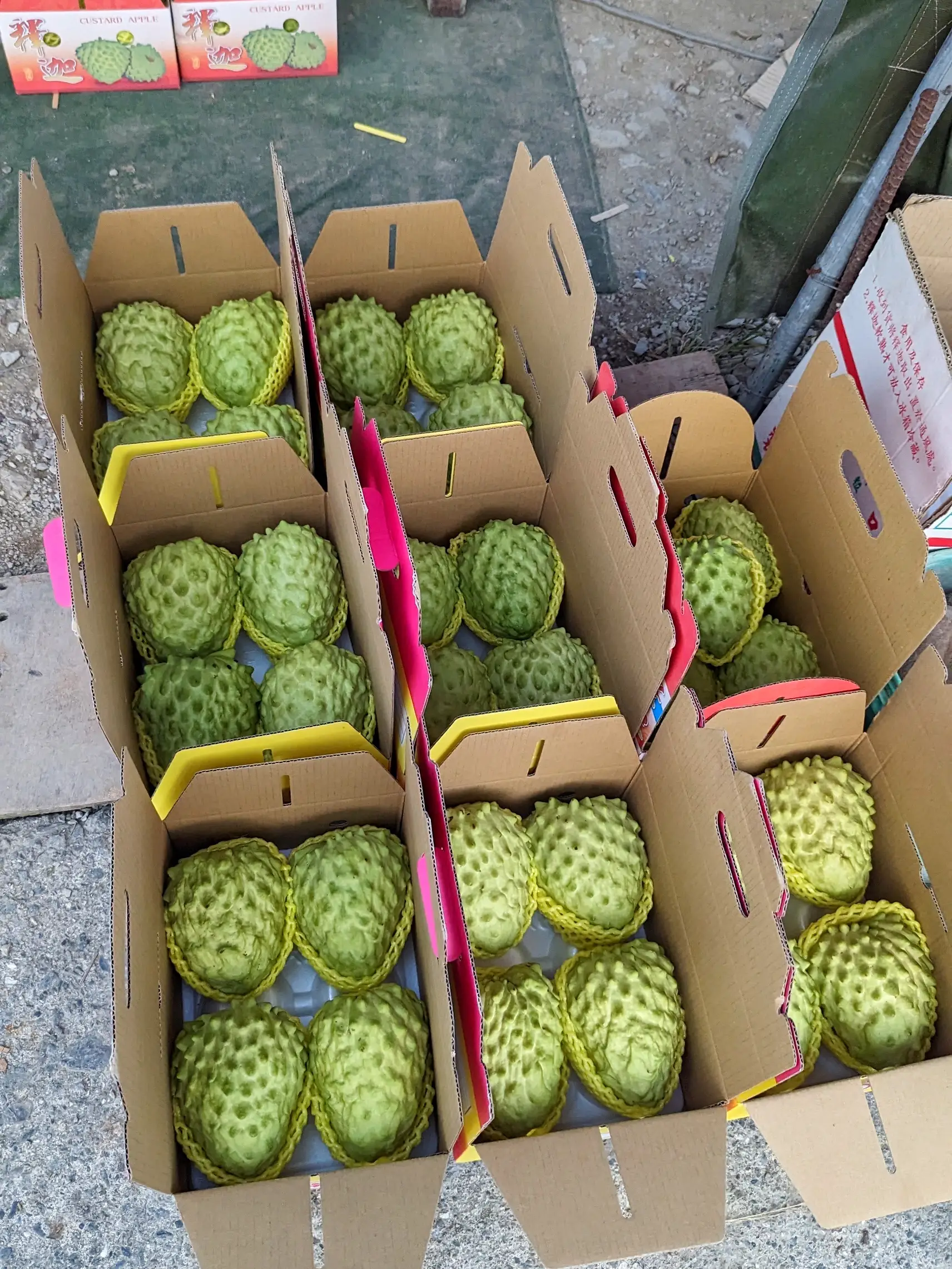 Custard apples: What the heck are they and why should you eat them?