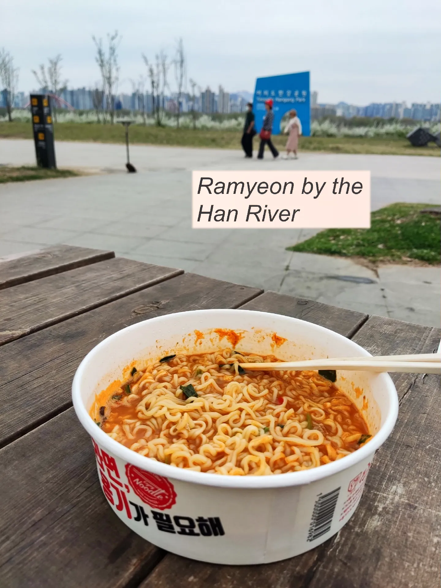 Ramyeon by the Han River in Seoul | Gallery posted by lucid5to9 | Lemon8