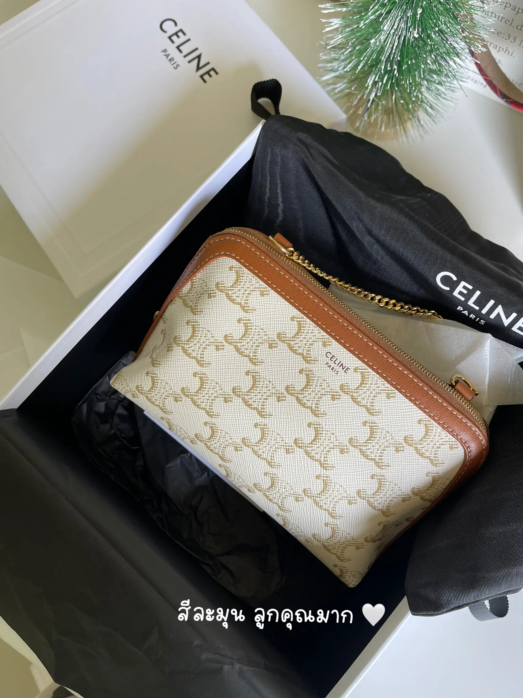 Shop CELINE Triomphe Canvas WALLET ON CHAIN TRIOMPHE CANVAS IN