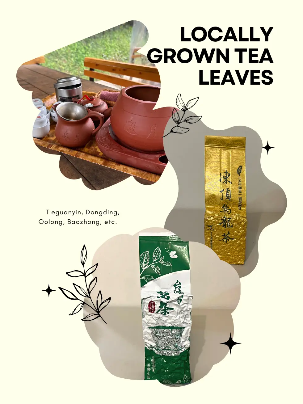 souvenir - Lemon8 Search