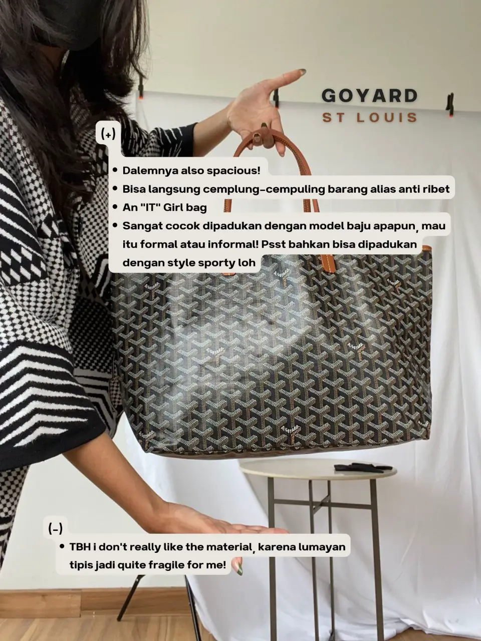 Goyard vs Louis Vuitton [2023 Review]: Which Luxury Brand Is Right For You?  - Girl Shares Tips
