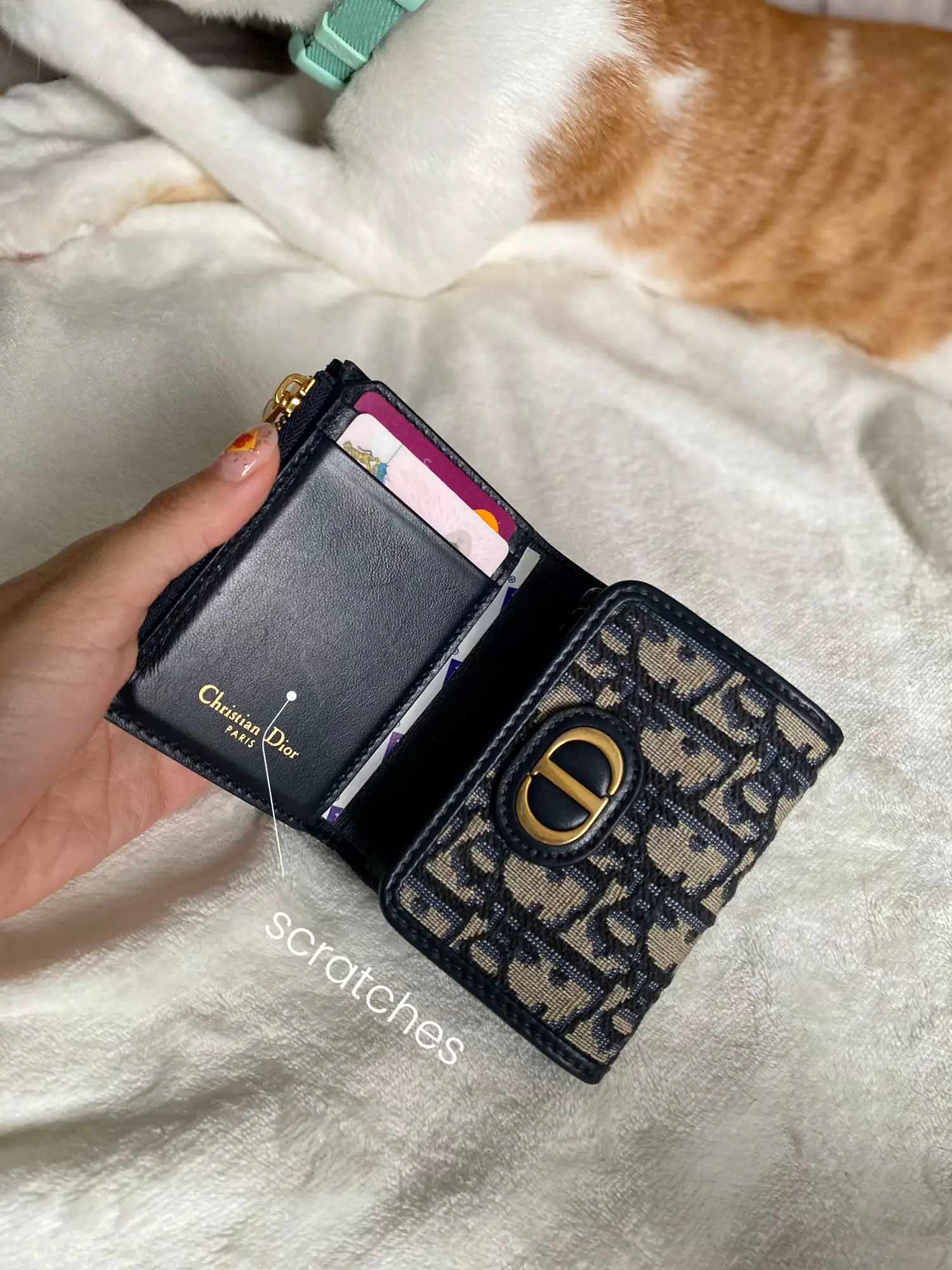 Wallet with Bill Clip Black Dior Oblique Jacquard