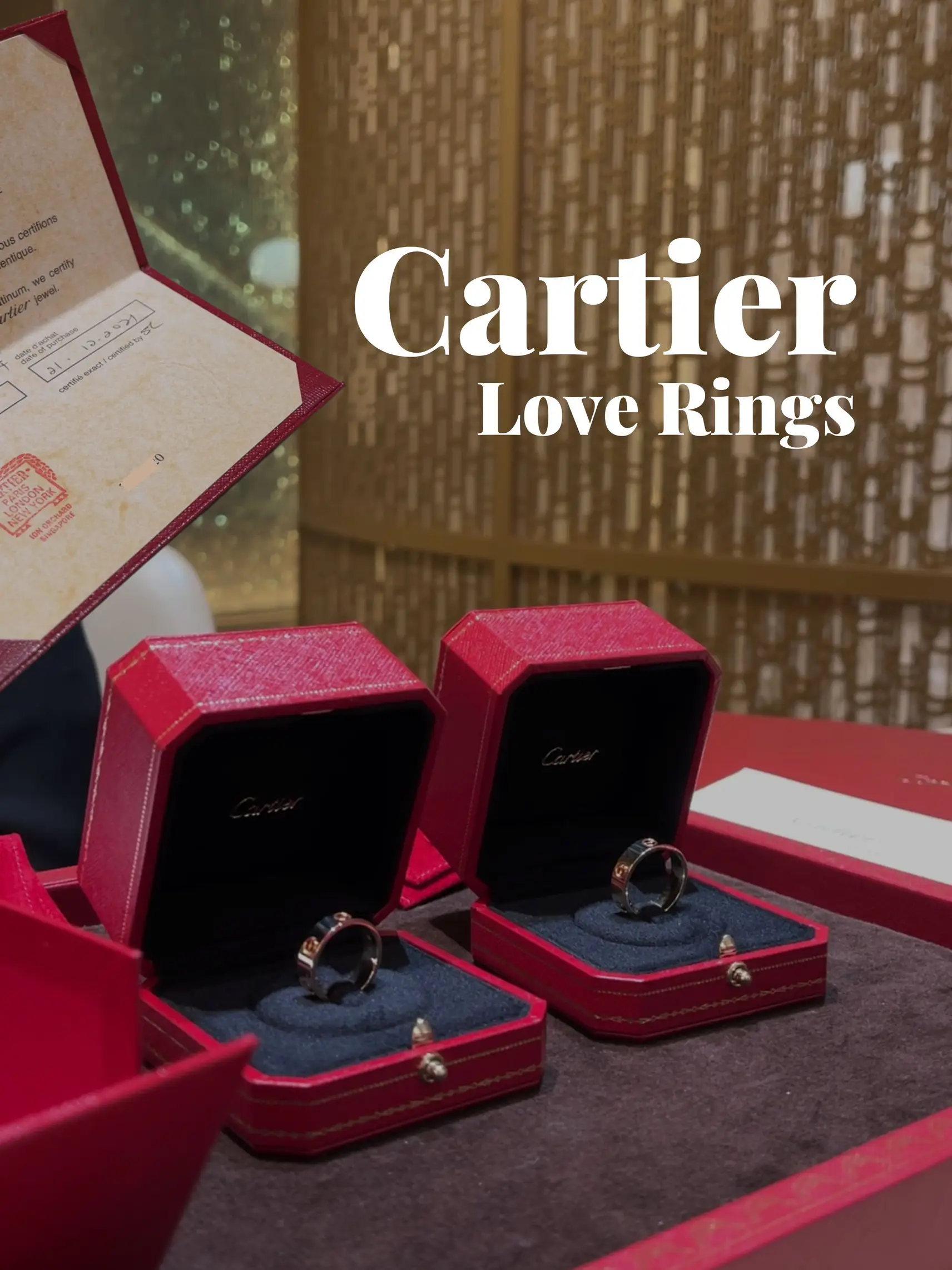 20 top Cartier Ring Juste Un Clou ideas in 2024