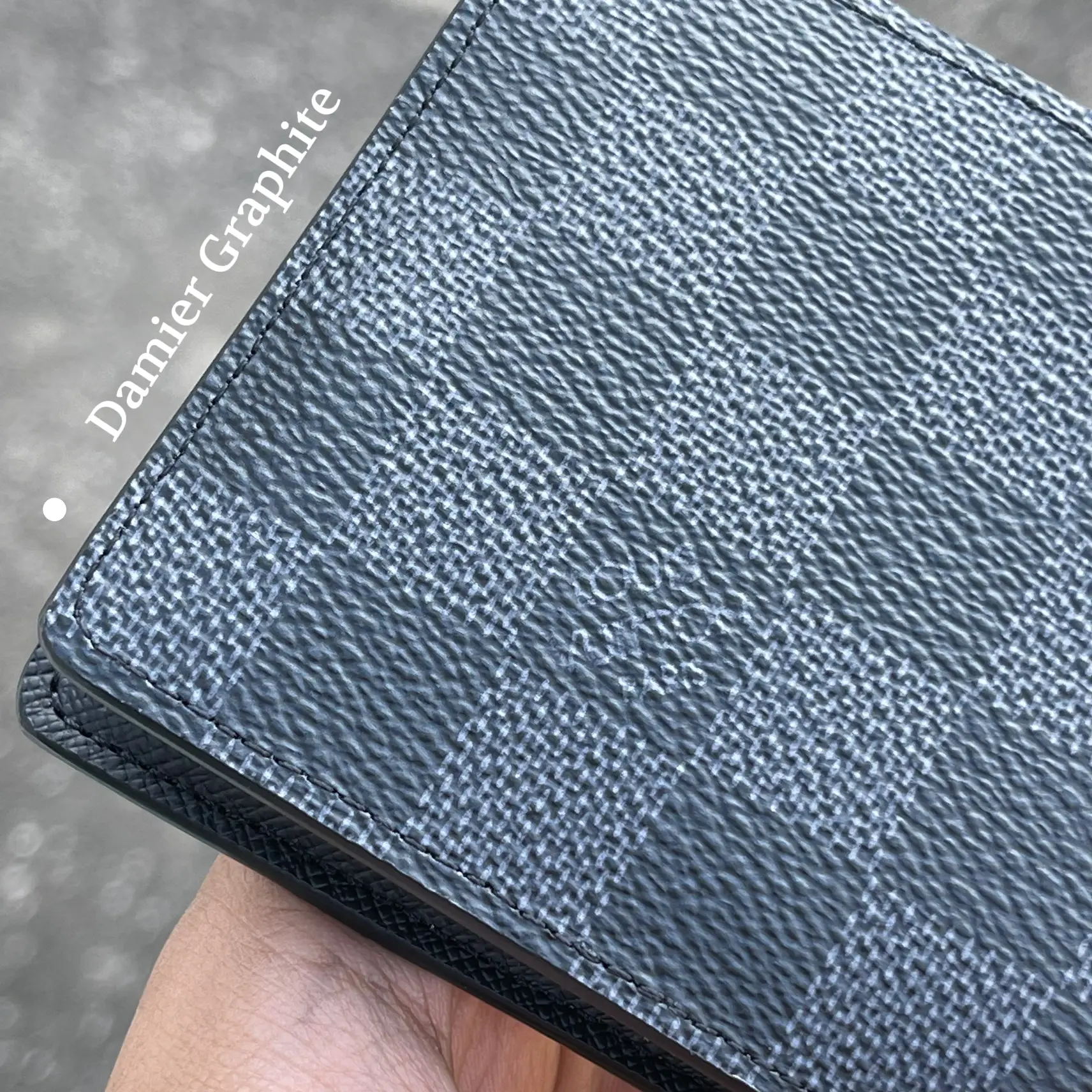 Louis Vuitton Damier Graphite Multiple Wallet Review 