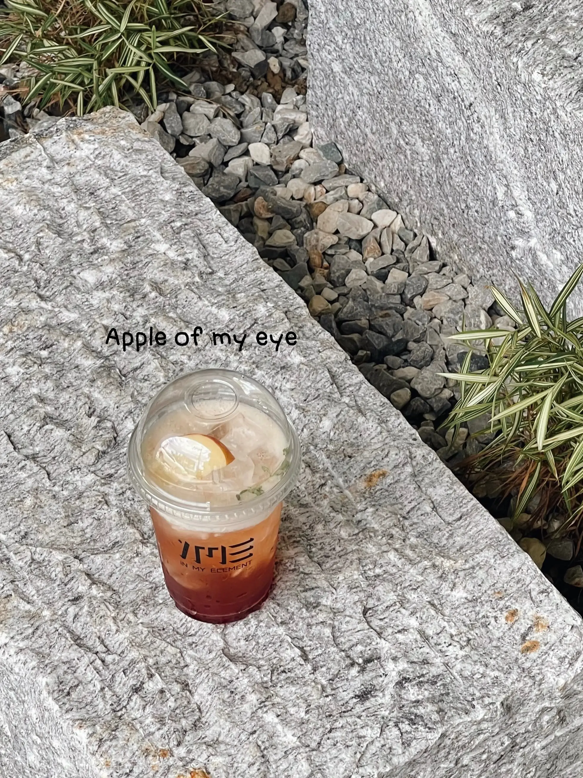 In My Element คาเฟ่ราชพฤกษ์เปิดใหม่ดีไซน์ปังมาก | แกลเลอรีที่โพสต์โดย ...