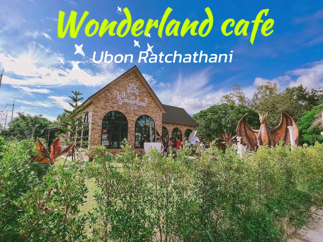 Wonderland cafe แกลเลอรีที่โพสต์โดย Yokphuakteaw Lemon8