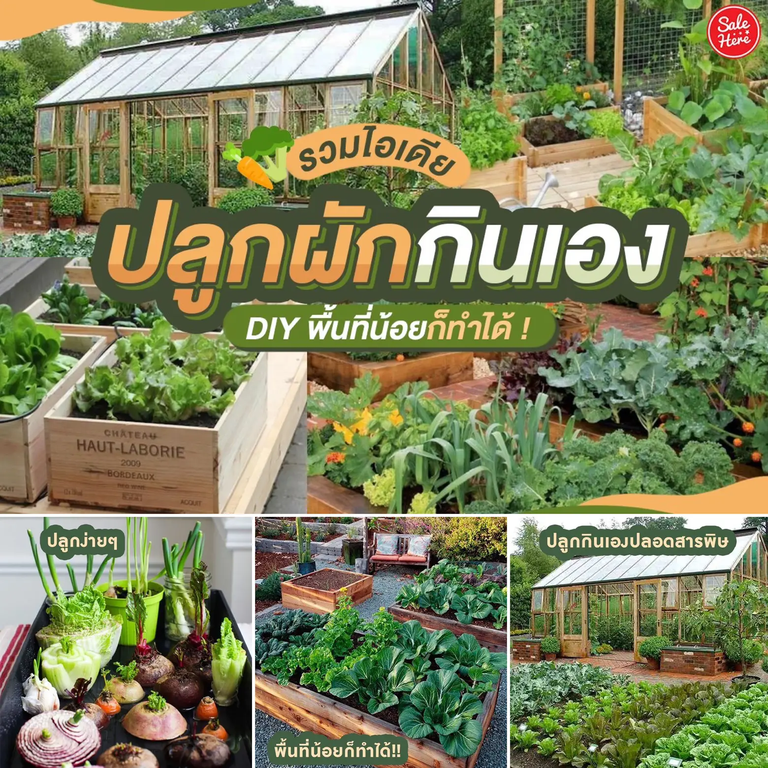 includes-vegetable-growing-ideas-gallery-posted-by-sale-here-lemon8