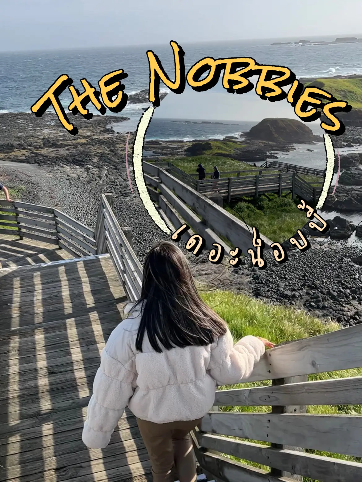 🐧 The Nobbies เกาะสวรรค์บนดิน🏝️🦭ที่มีแมวน้ำ เพนกวินเยอะมาก🇦🇺 แกลเลอรี