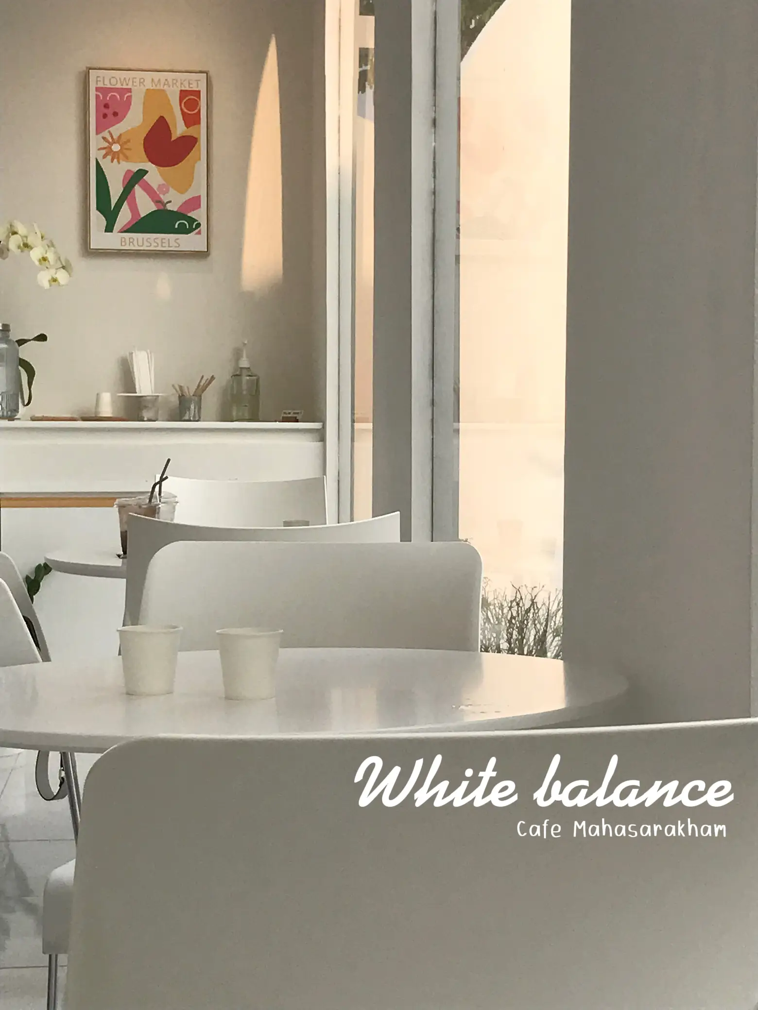 White Balance cafe, minimalist cafe ♡🐰, Gallery posted by Pepie 🍅💥