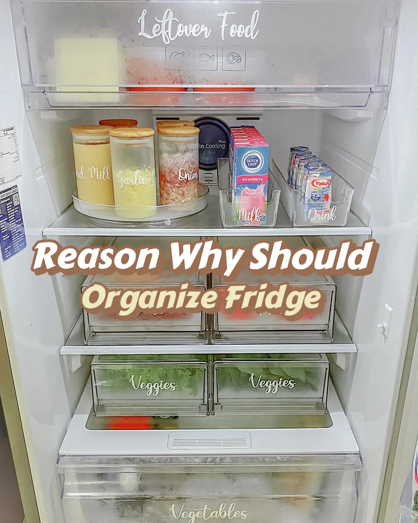 Resons You Should Organize Your Fridge — Feed Your Sister