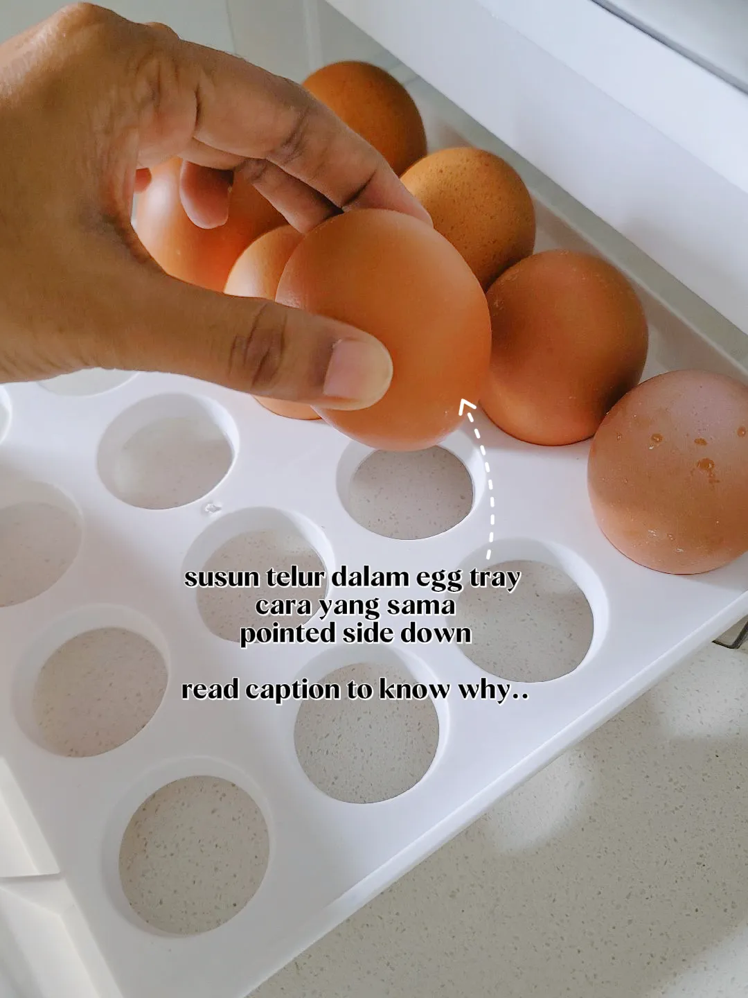 Cara Egg Holder