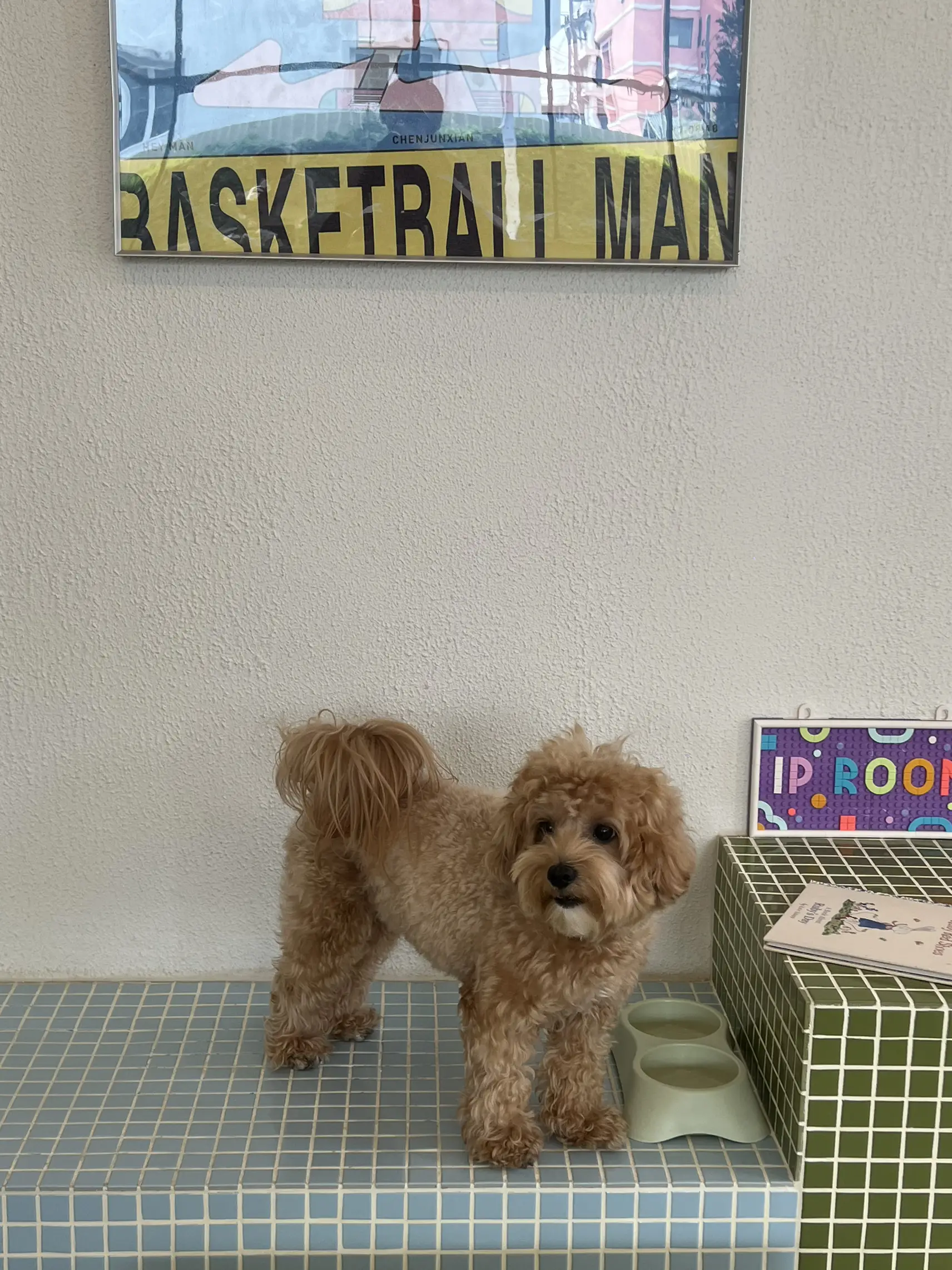 คาเฟ่เกาหลีสดใส สุดคิ้วท์ย่านสะพานควาย - IP Room 📺 | แกลเลอรีที่โพสต์ ...