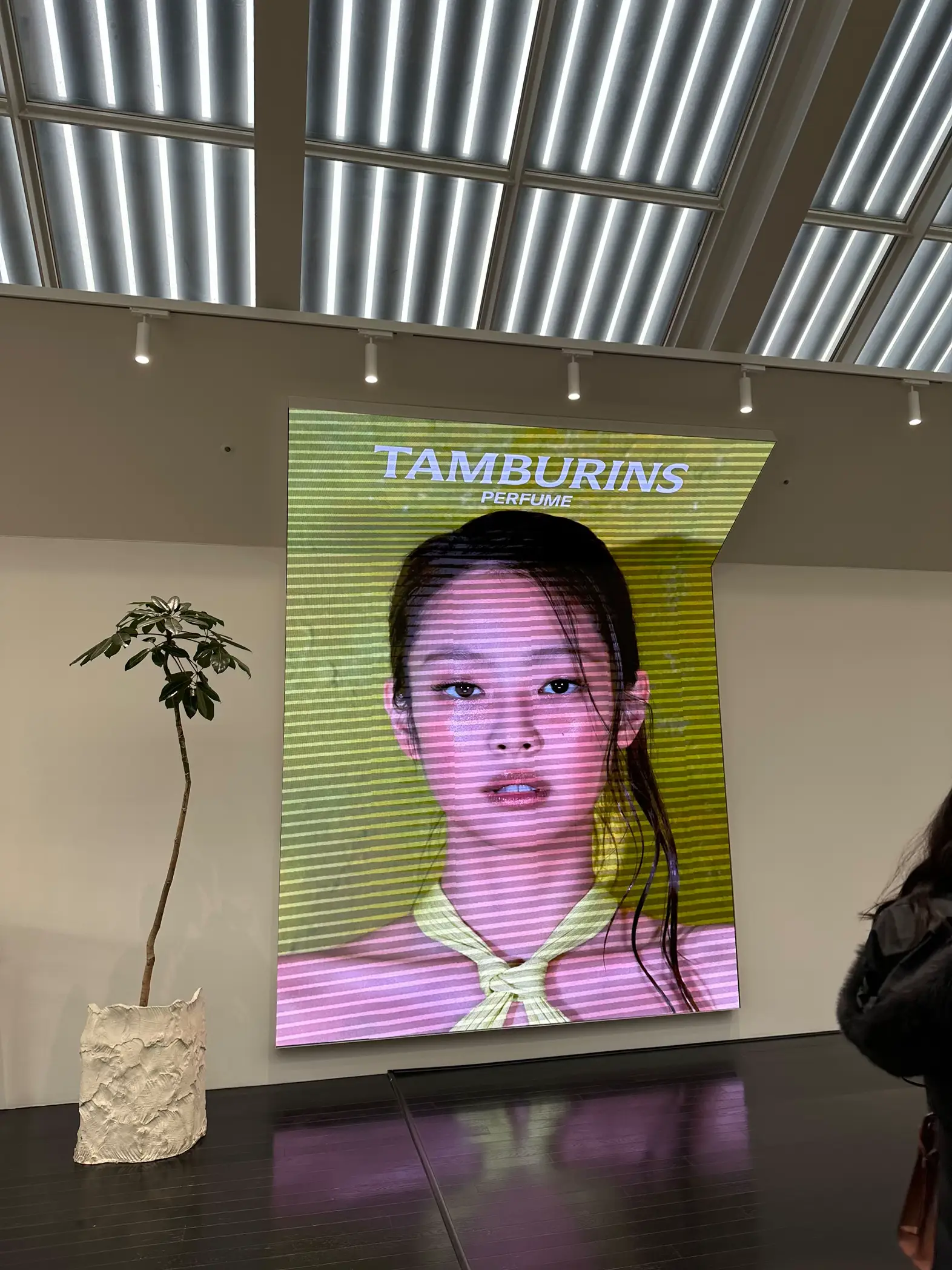 Jennie (Blackpink) x TAMBURINE Perfume Ad 