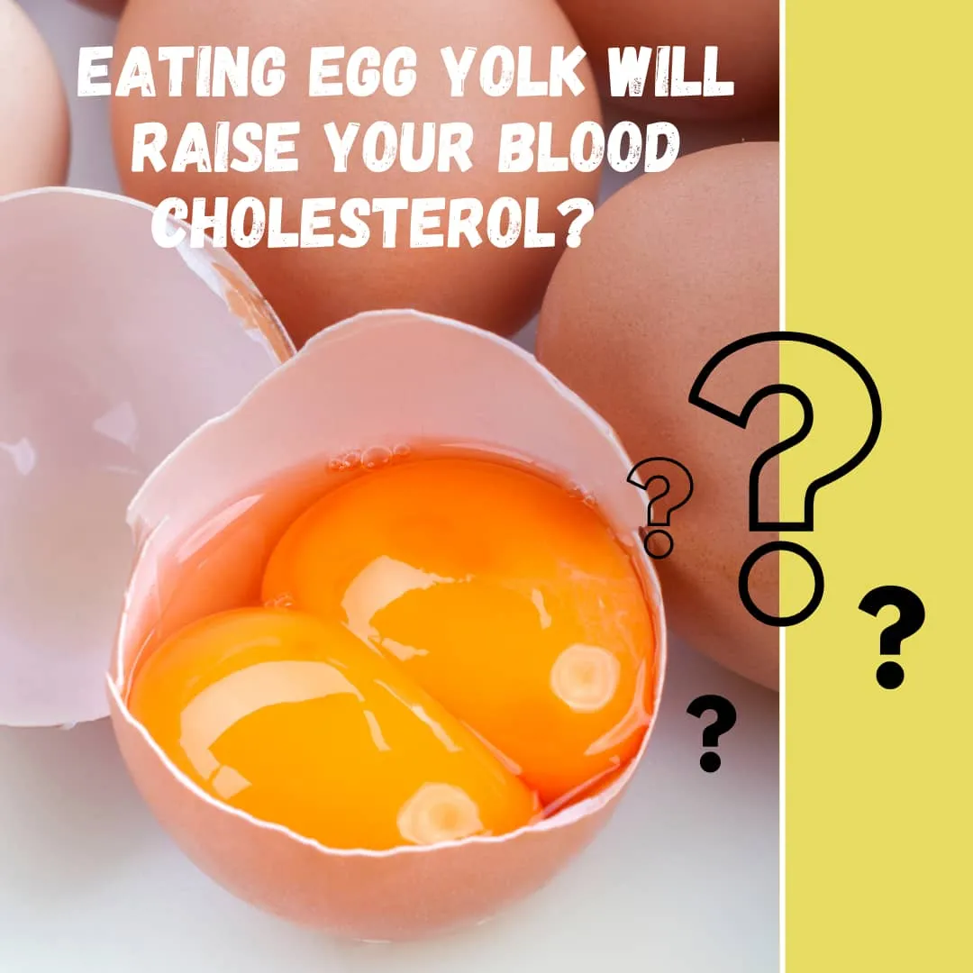 Beware! Eating eggs can discreetly impair your heart health; know how the  yolk increases menacing cholesterol