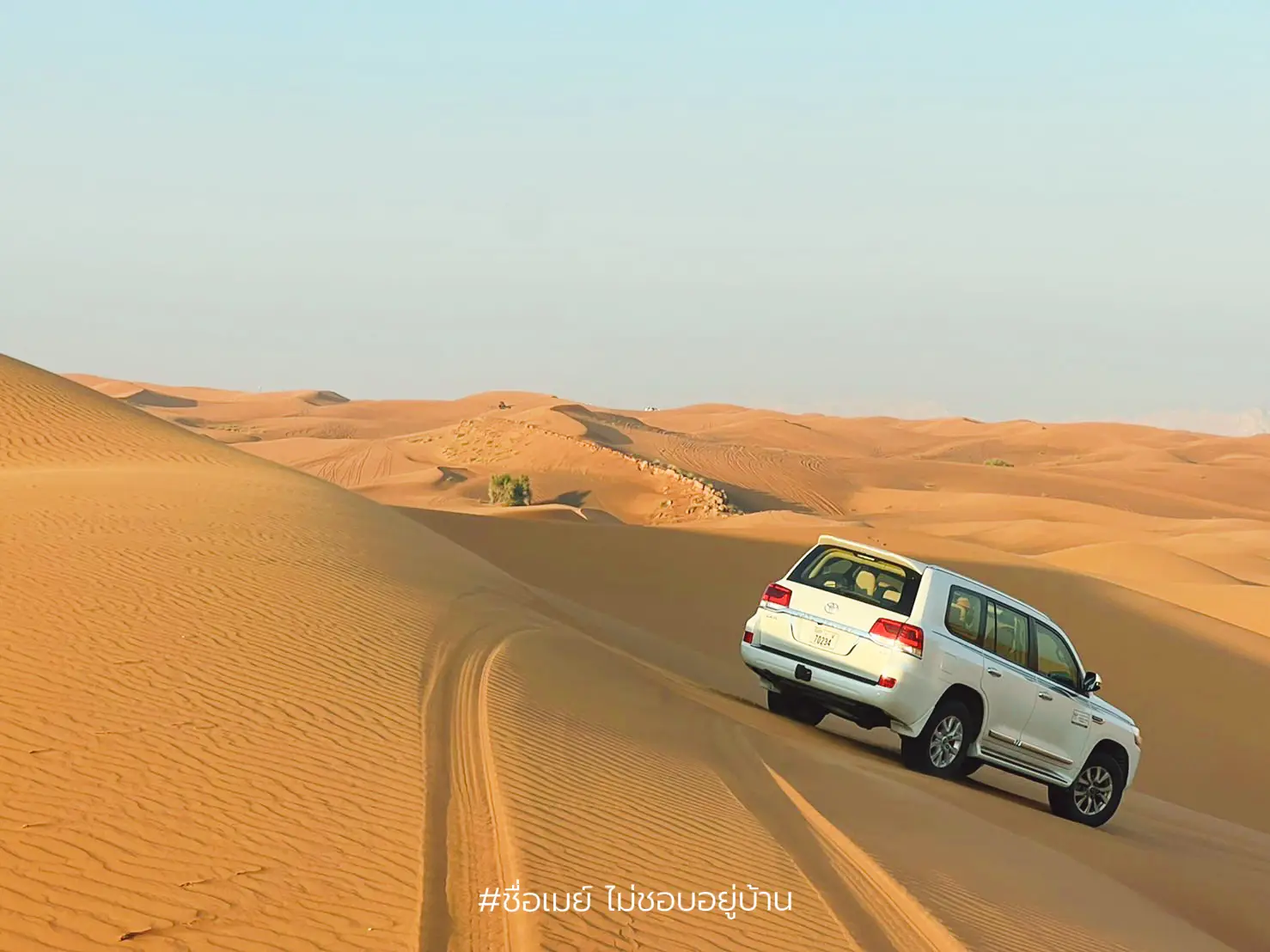 Dune Bashing Desert Safari In Dubai | Gallery Posted By Mayblogblog ...