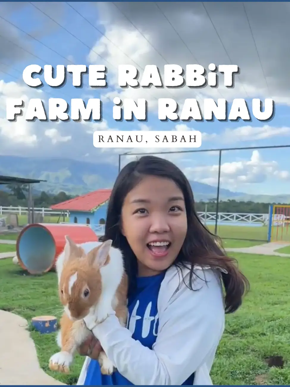 Hi Rabbit Kl Rabbit petting + amazing views of Mount Kinabalu | Video diterbitkan ...