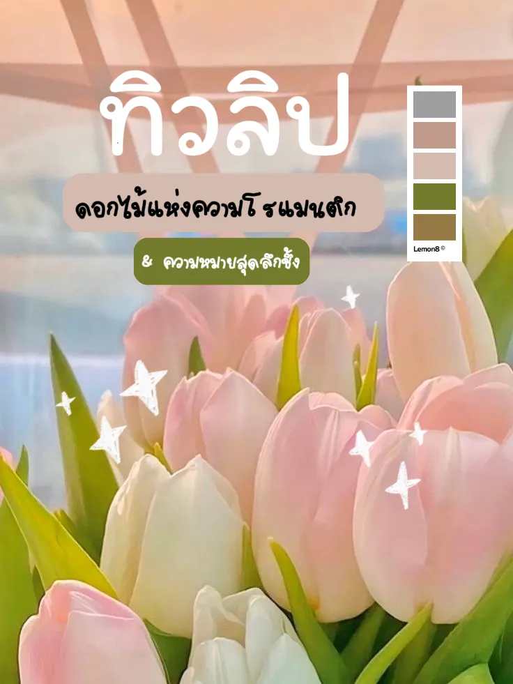 ดอกทิวลิปแต่ละสี เค้ามีความหมายต่างกันด้วยนะ🌷✨ | แกลเลอรีที่โพสต์โดย  Kiiimkunann 🌷 | Lemon8