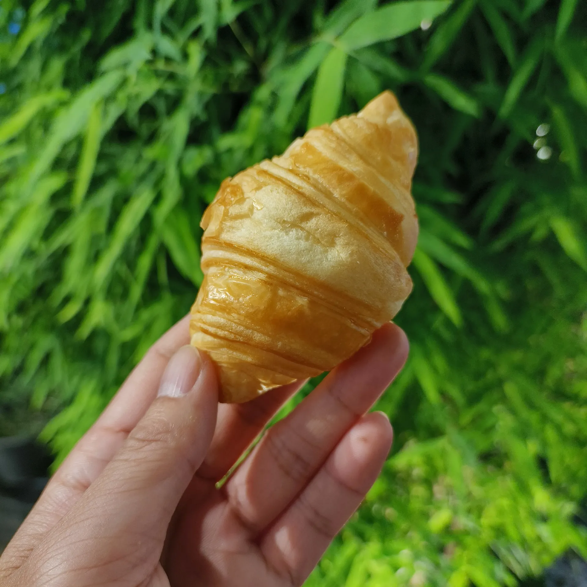 ふんわり アイス枕カバー 15×25 / ラメ さくらんぼ ふんわり アイス枕