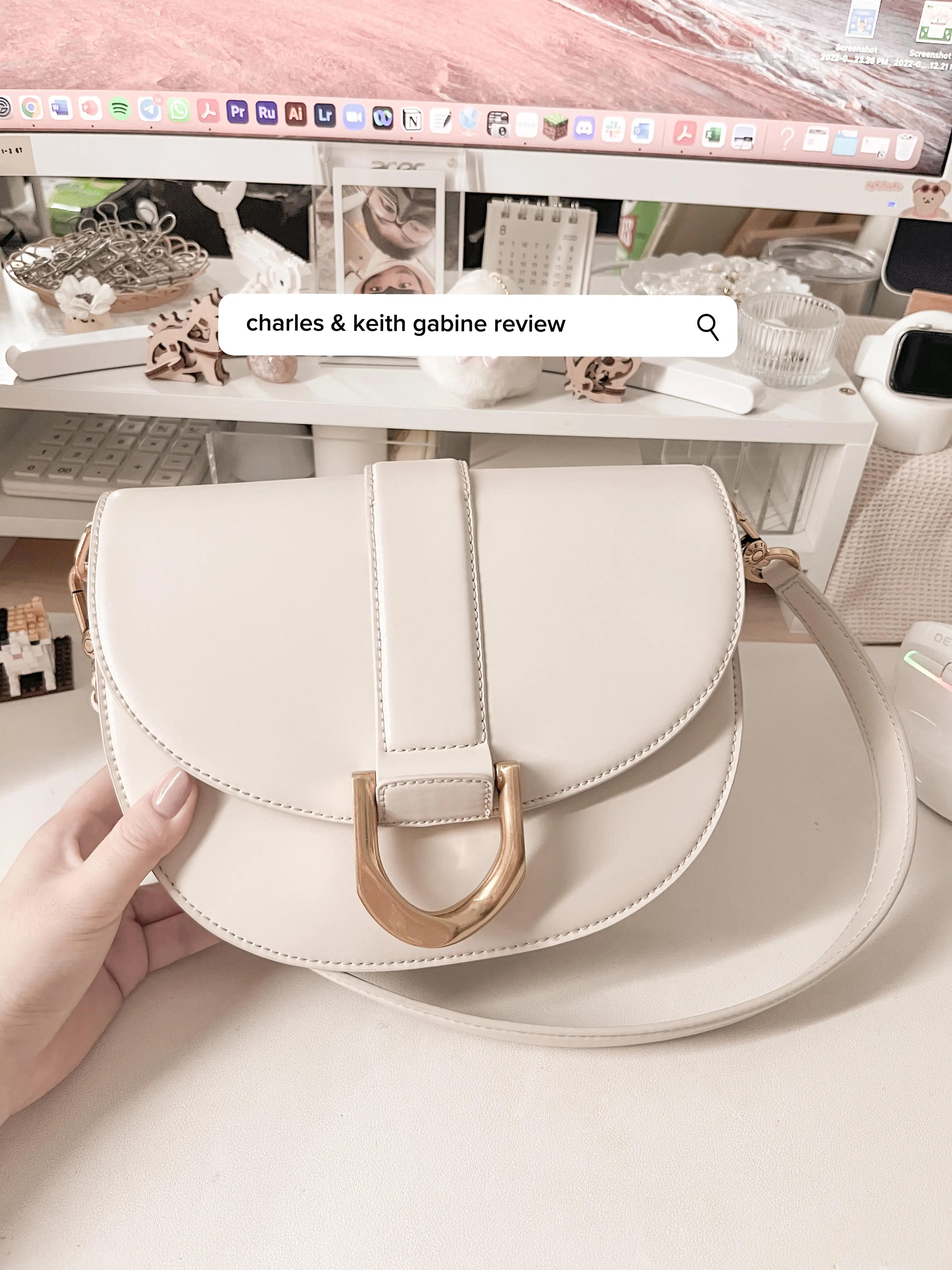is the gabine saddle bag worth the hype?, Gallery posted by rach 👽