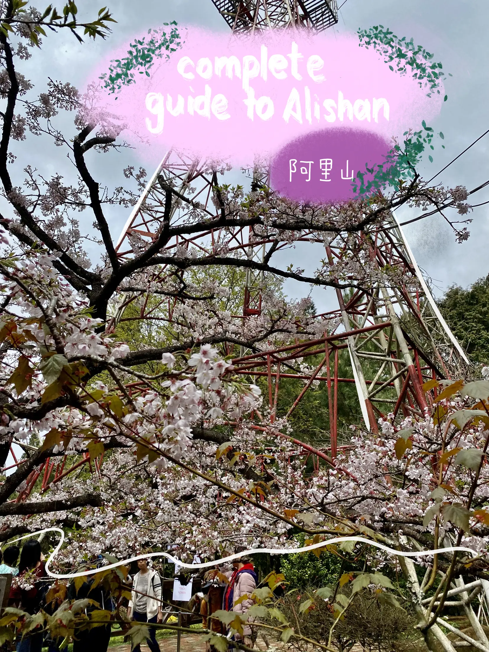 About Alishan - Alishan at the Alley - Cebu Philippines