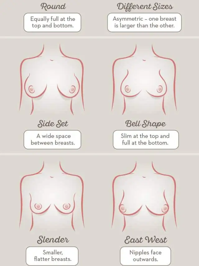 🆚What is the difference between breast and chest and bosom ?  breast vs chest vs bosom ?