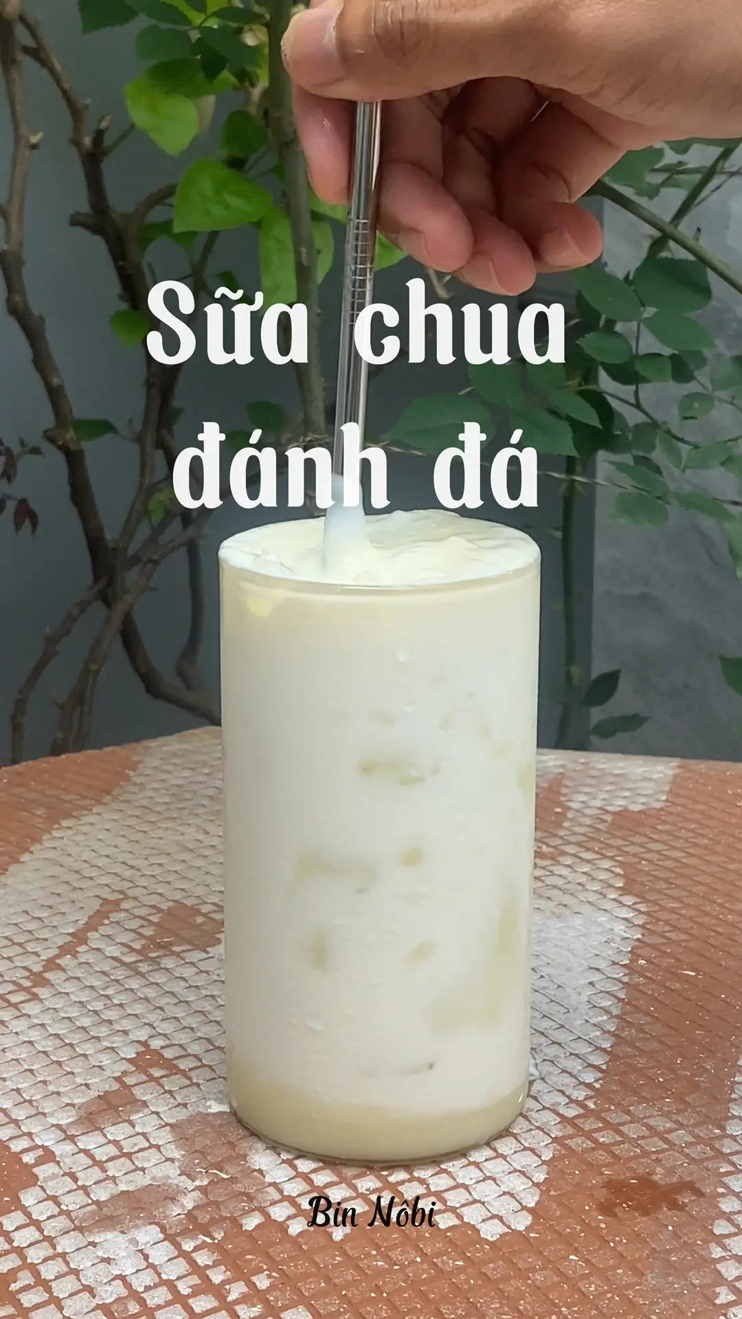 Hướng Dẫn Làm Sữa Chua Đánh Đá