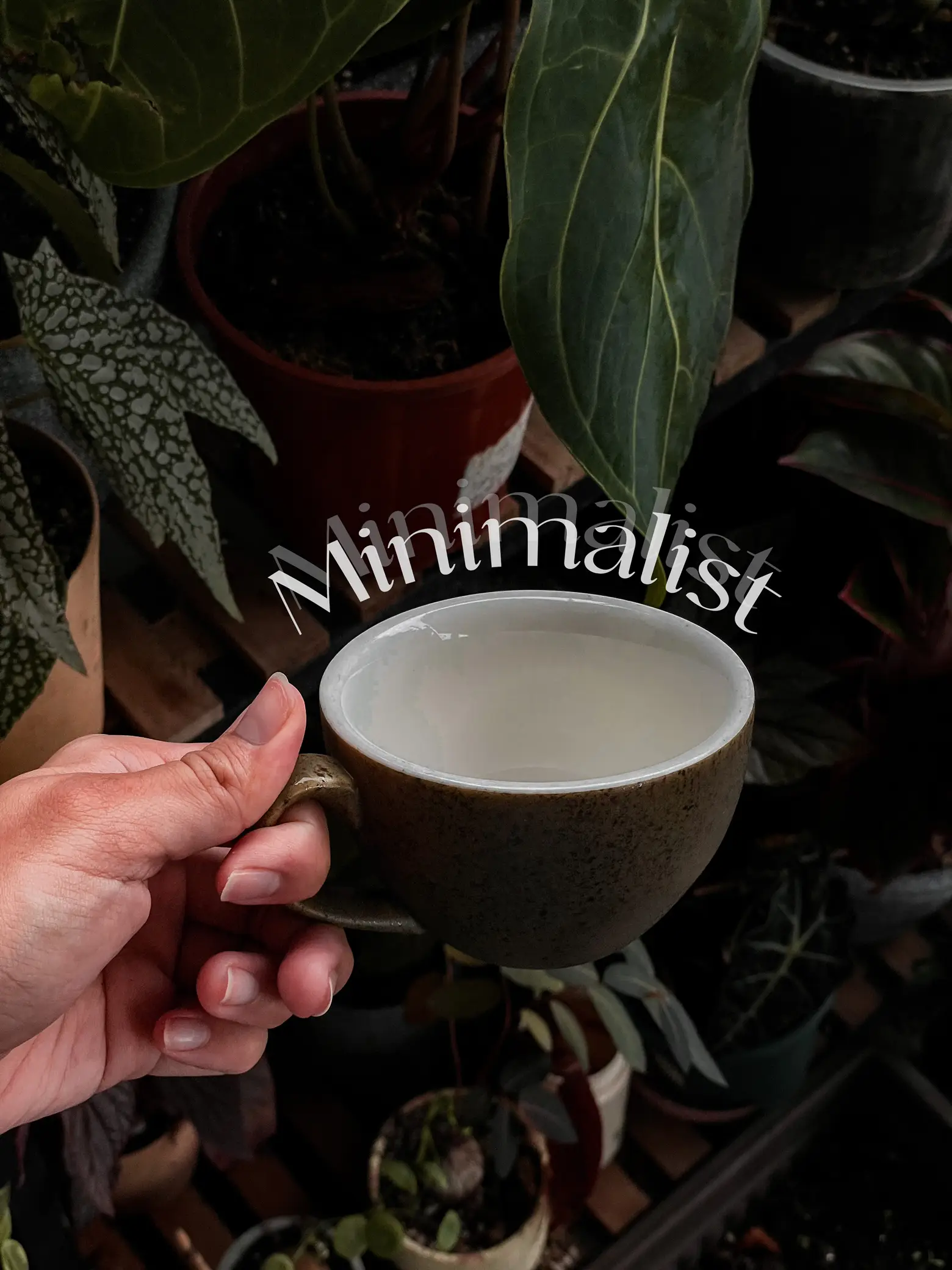 ☕️ Where to get my aesthetic coffee cups!, Gallery posted by natty