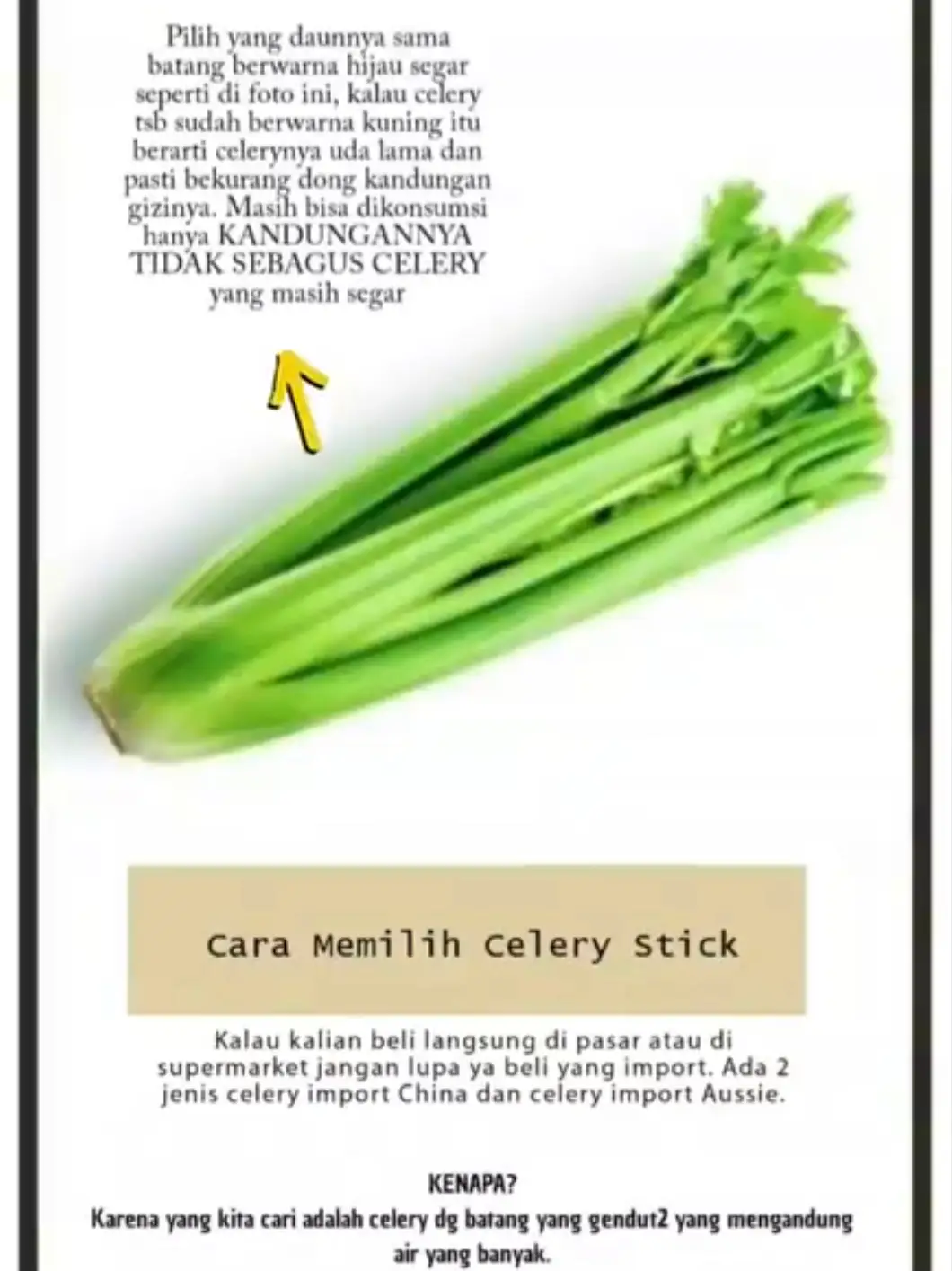 Benefits of hotsell celery sticks