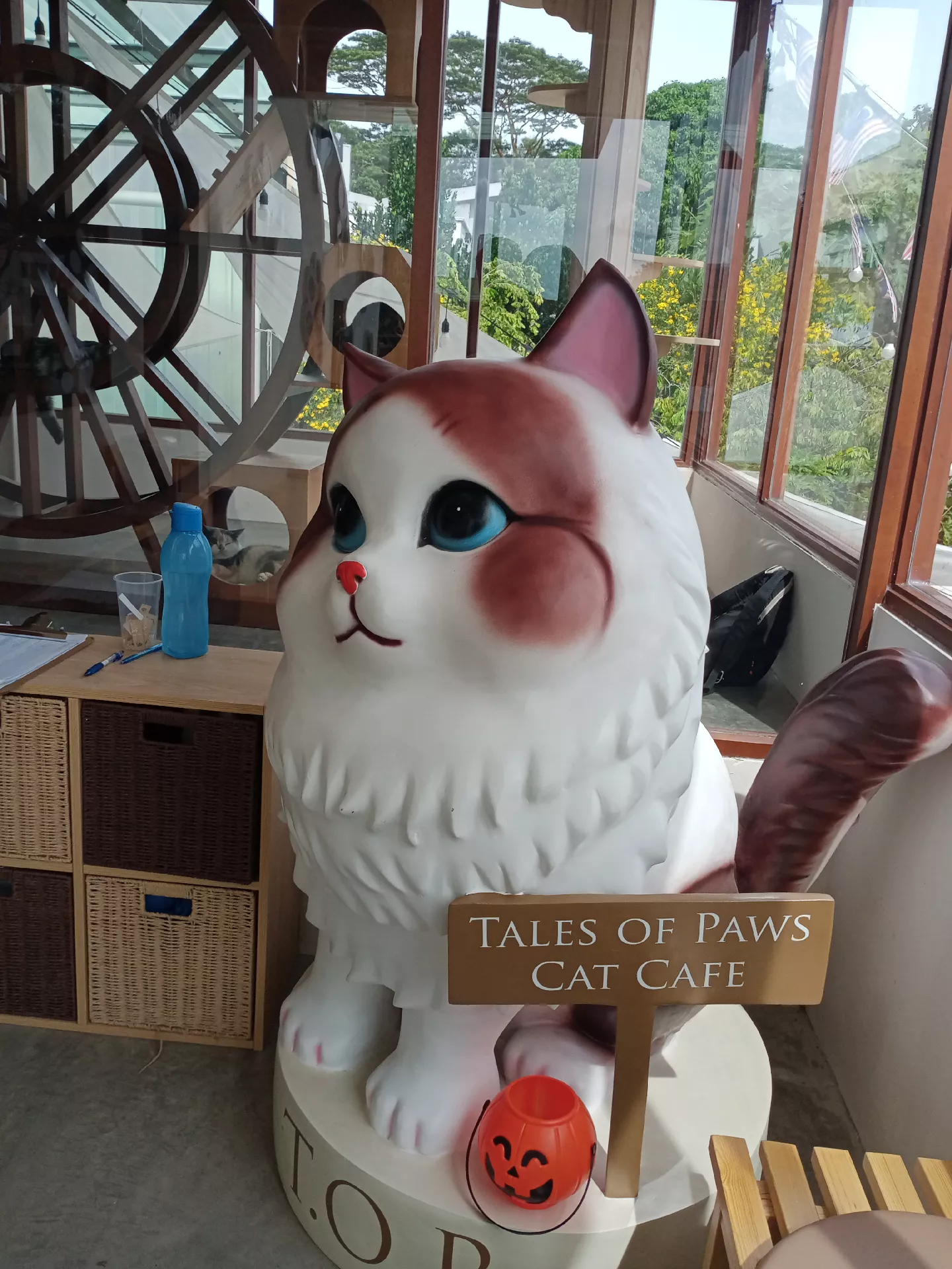 Cats Cafe by Tales of Paws ❤️, Gallery posted by Aierari