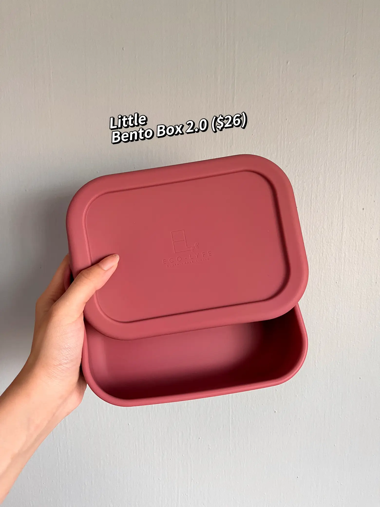 The Zero Waste People Bento Box (1.1L) - Hello Green