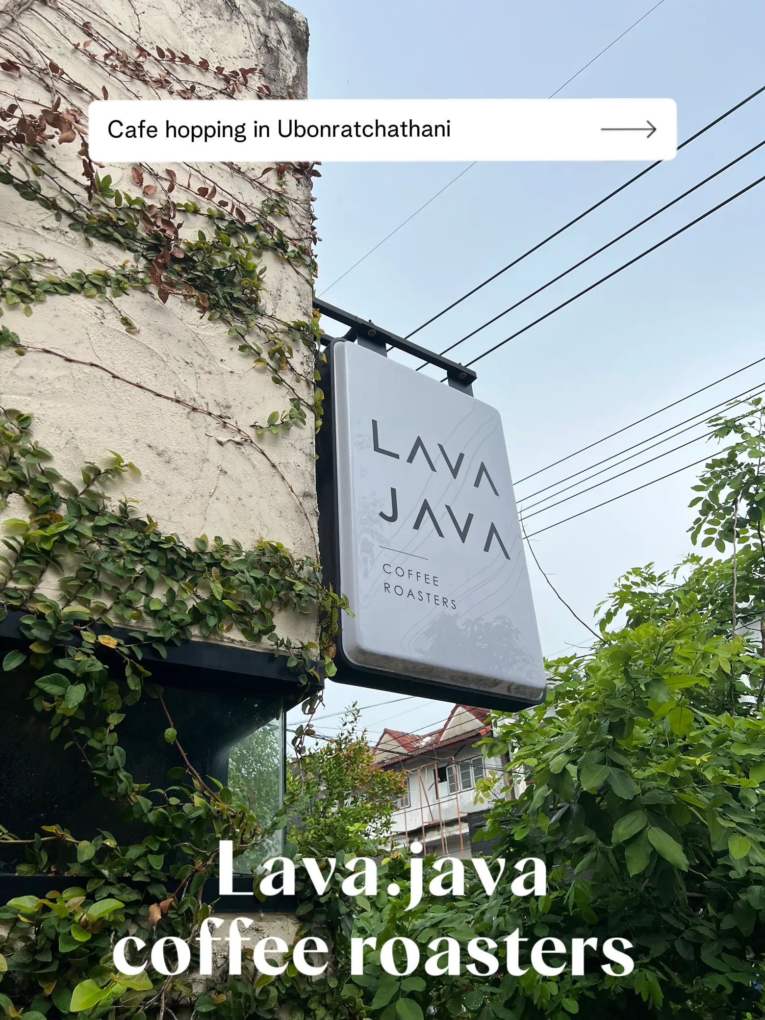 Lava Java Coffee Roasters คาเฟ่อุบล ☕️🥐 | แกลเลอรีที่โพสต์โดย เอ๋ยเอ้ย ...