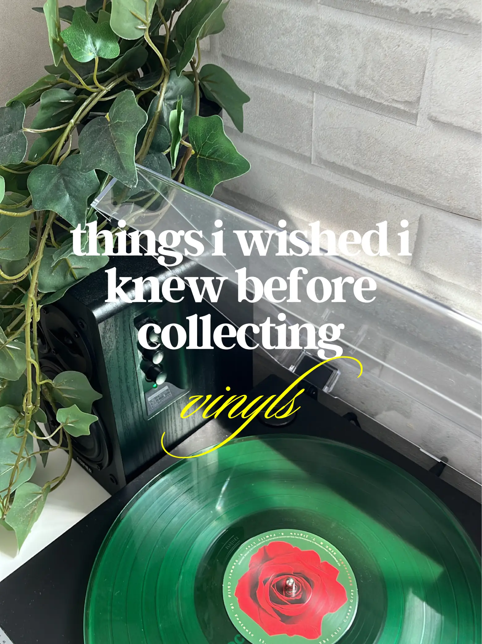 thinking of collecting vinyls? read this 👀, Gallery posted by jerrin