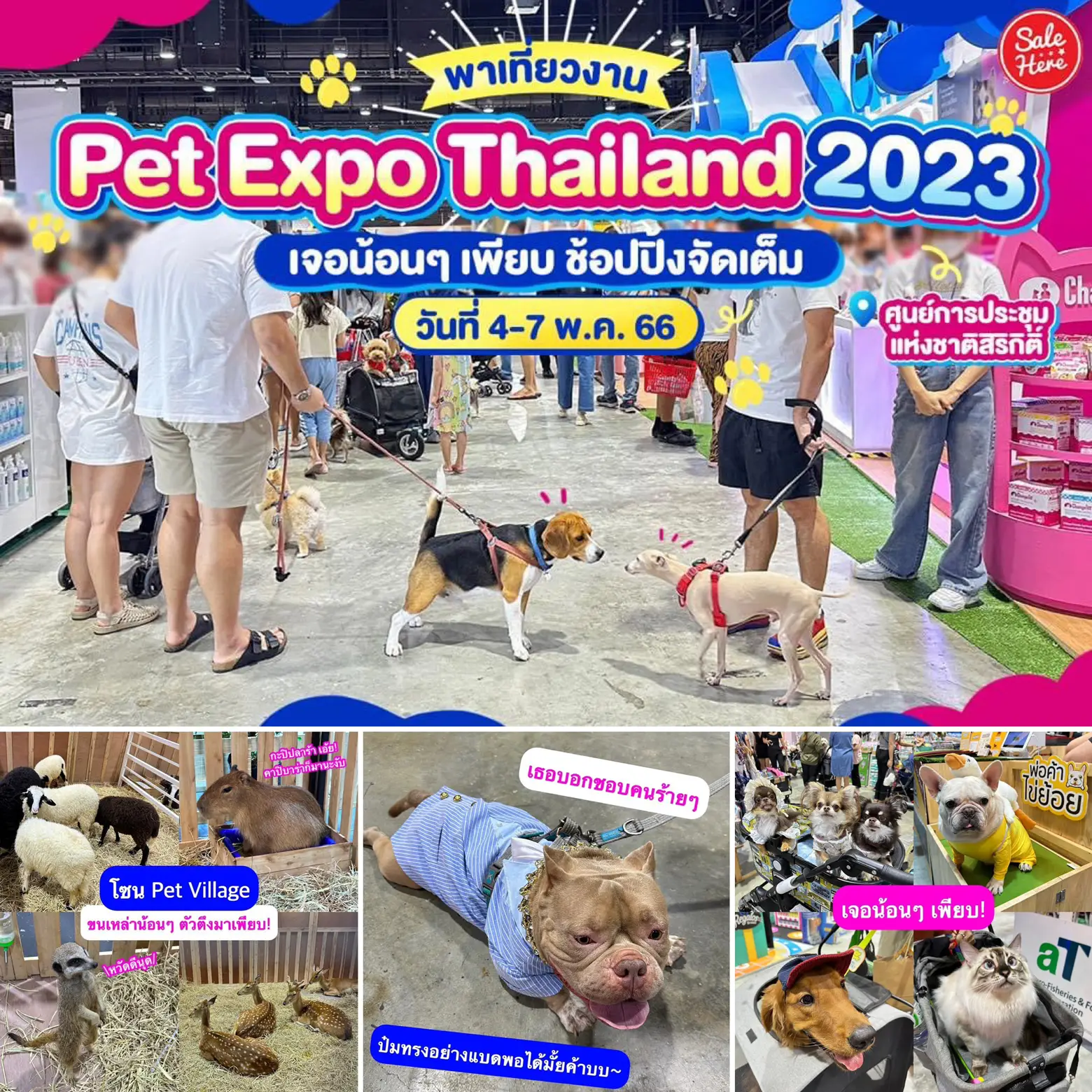 🐾Take a tour of Pet Expo 2023 🐶 Slaves, don't miss it!🦮 | Gallery ...