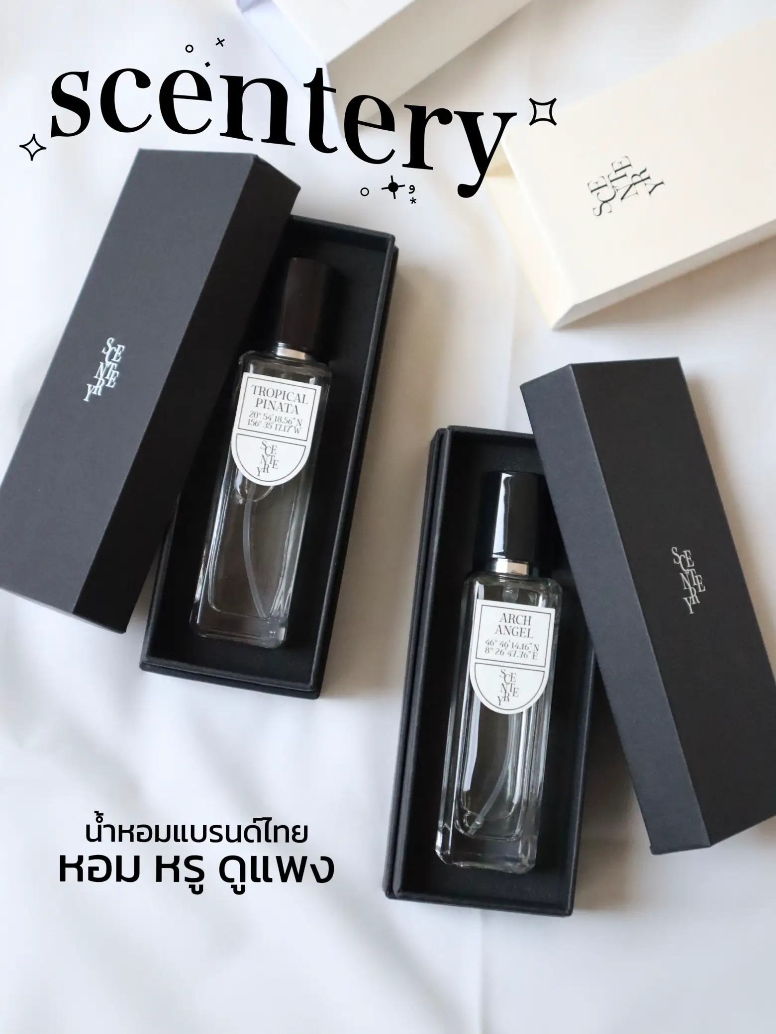 Vv and co online perfume lazada