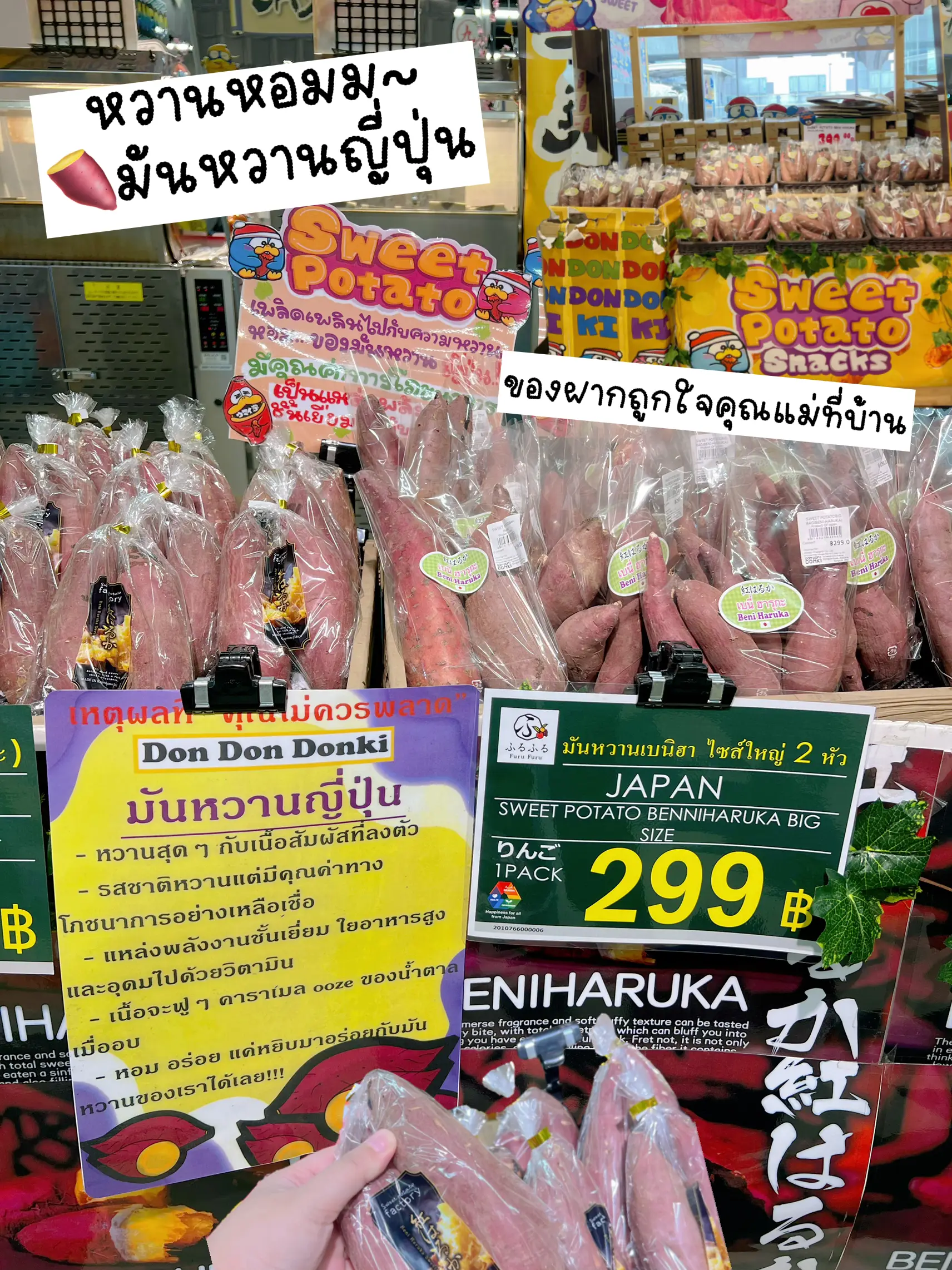 ดอลล เปนตอ Vkindex - z31szdh
