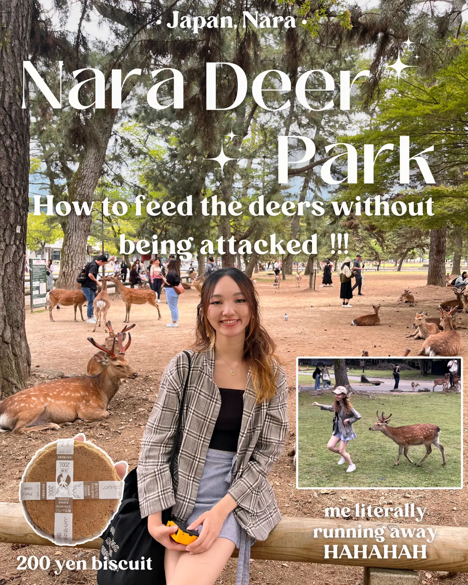 Precautions to take when feeding deers at Nara Deer Park Lemon8