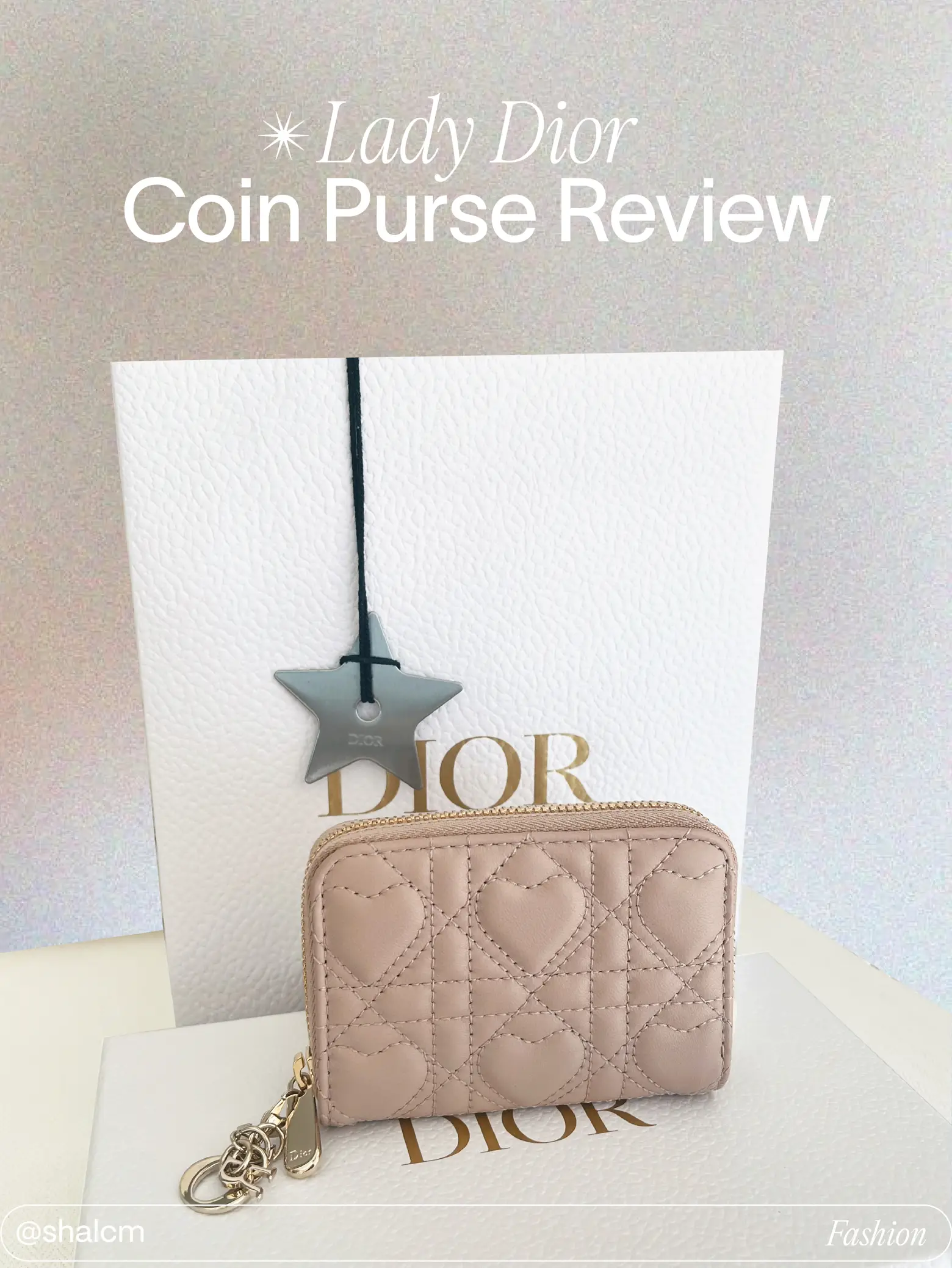 Dior coin bag hot sale