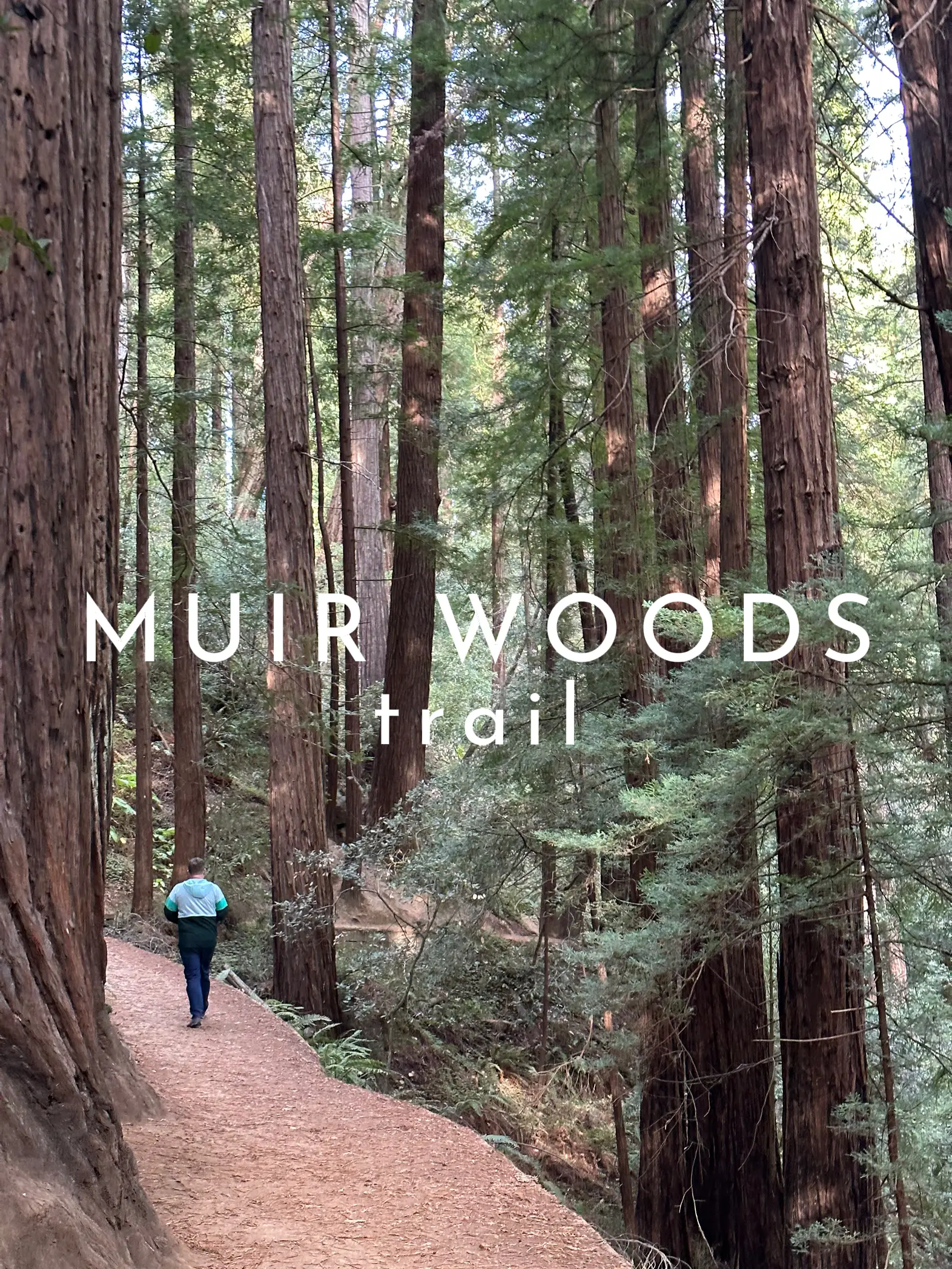 🎡San Francisco Bay Area Trip 🚗 Driving Edition🚗 Gallery posted by tonnambenya Lemon8