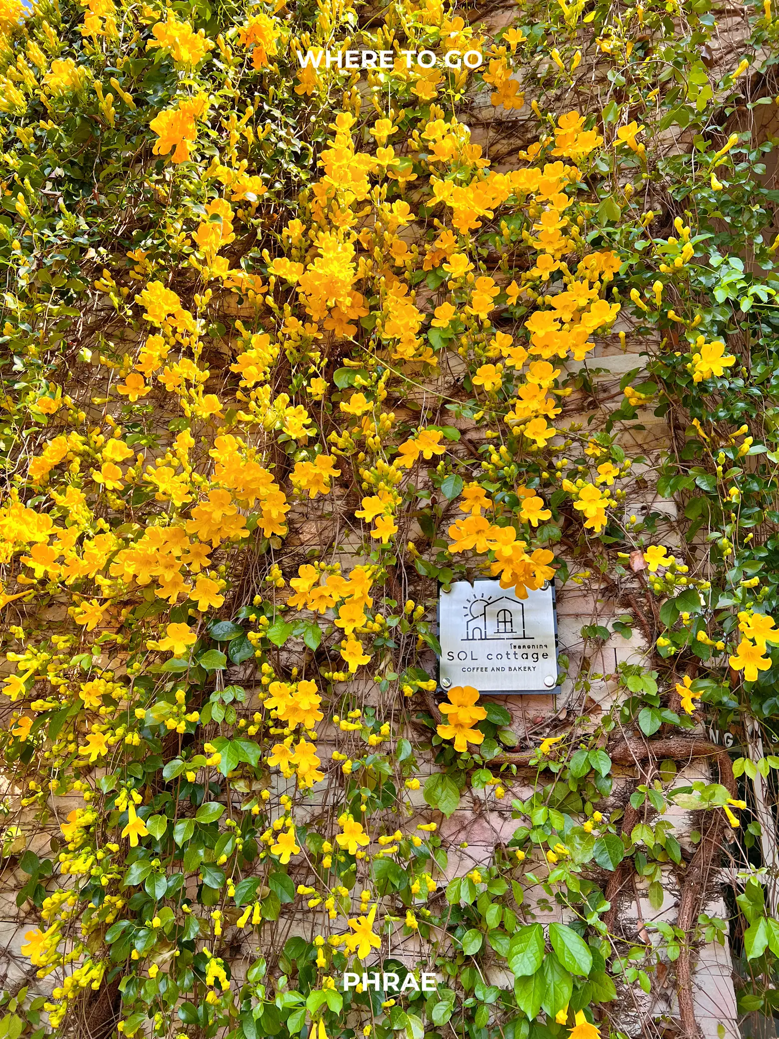 Rui flower คาเฟ่วิวหอไข่มุก ฟีลยุโรป | แกลเลอรีที่โพสต์โดย kik♡ | Lemon8