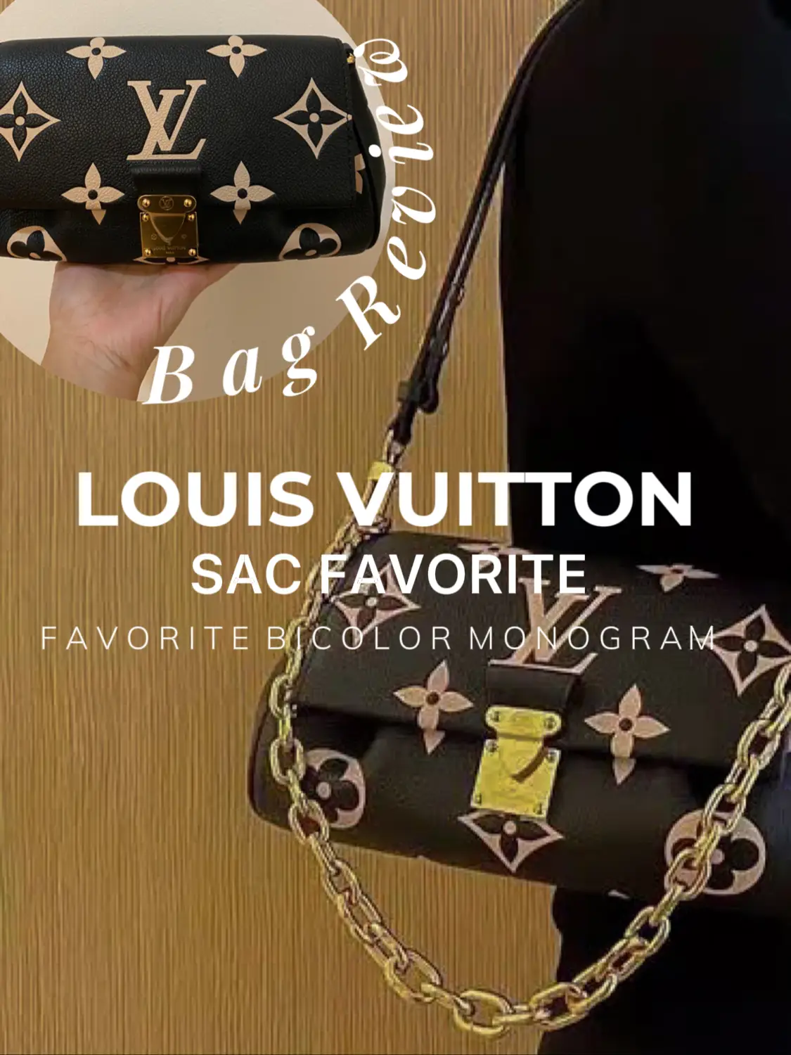 My first Louis Vuitton bags. I am obsessed. VAVIN PM & Pochette