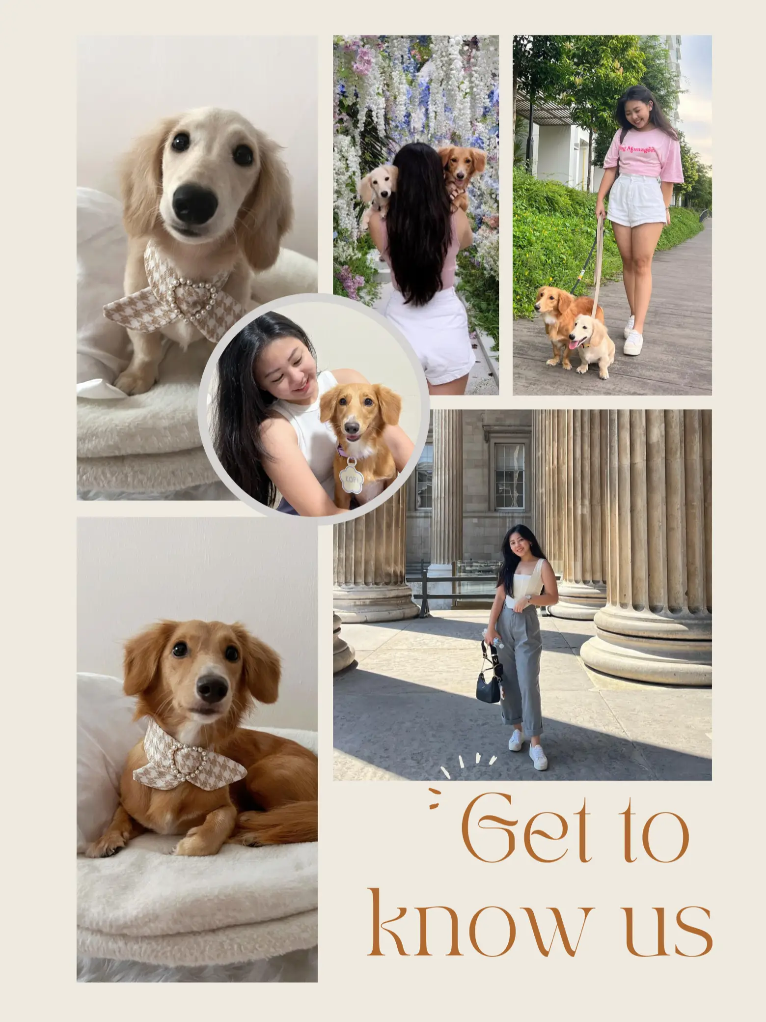 👋🏻 Get to know *ME* - dog momager's images(0)