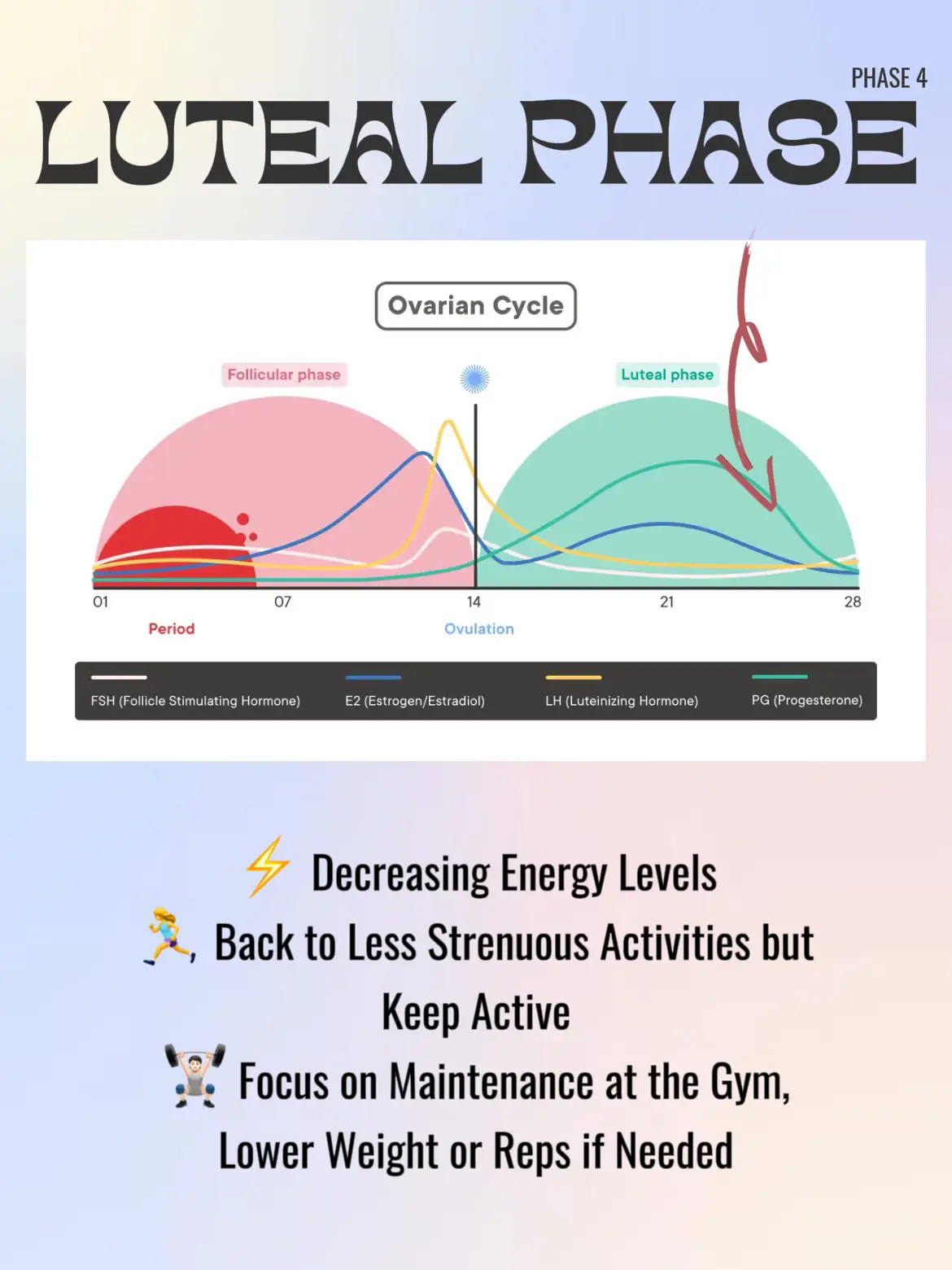EZ Guide to Exercising at Each Stage of your 🩸🩸🩸