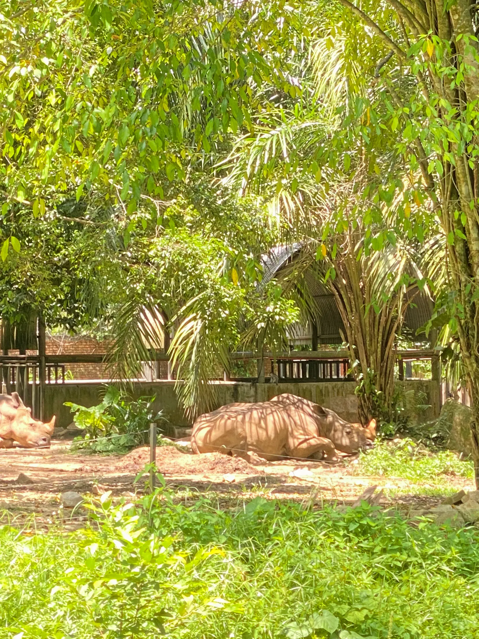 Zoo Negara with kids แกลเลอรีที่โพสต์โดย Fara Amiruddin Lemon8