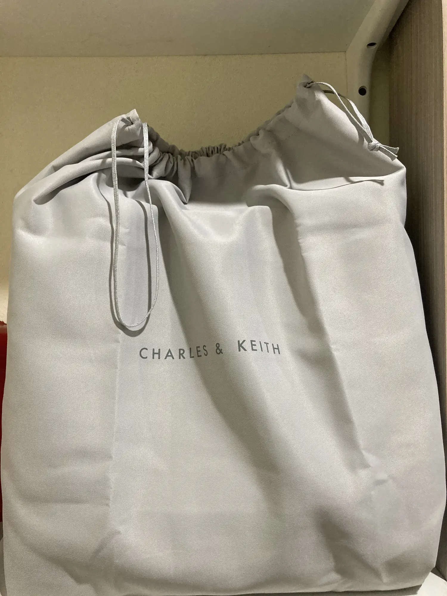 Zoe charles and keith tiktok Zohtaco charles & keith luxury bag