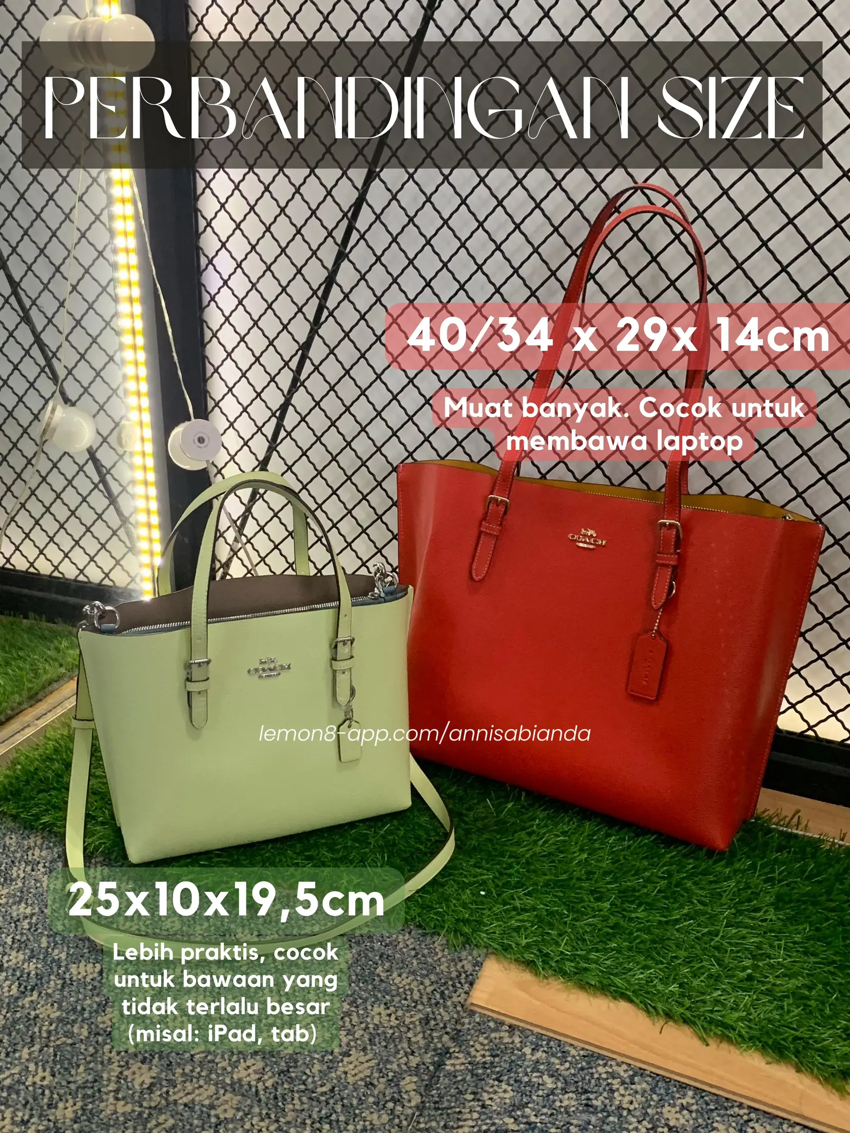 Coach selling mollie tote