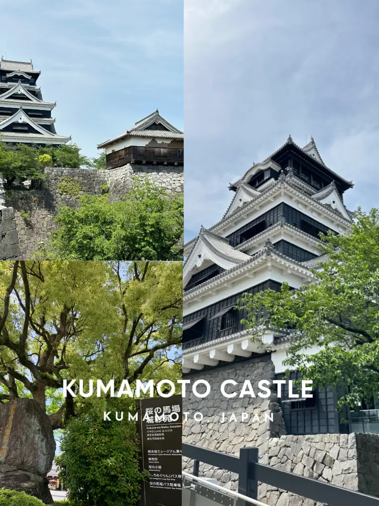 มาเยี่ยมชมปราสาท Kumamoto Castle กัน 🏯🗺️🇯🇵 | แกลเลอรีที่โพสต์โดย  chansida 🦋⭐️ | Lemon8