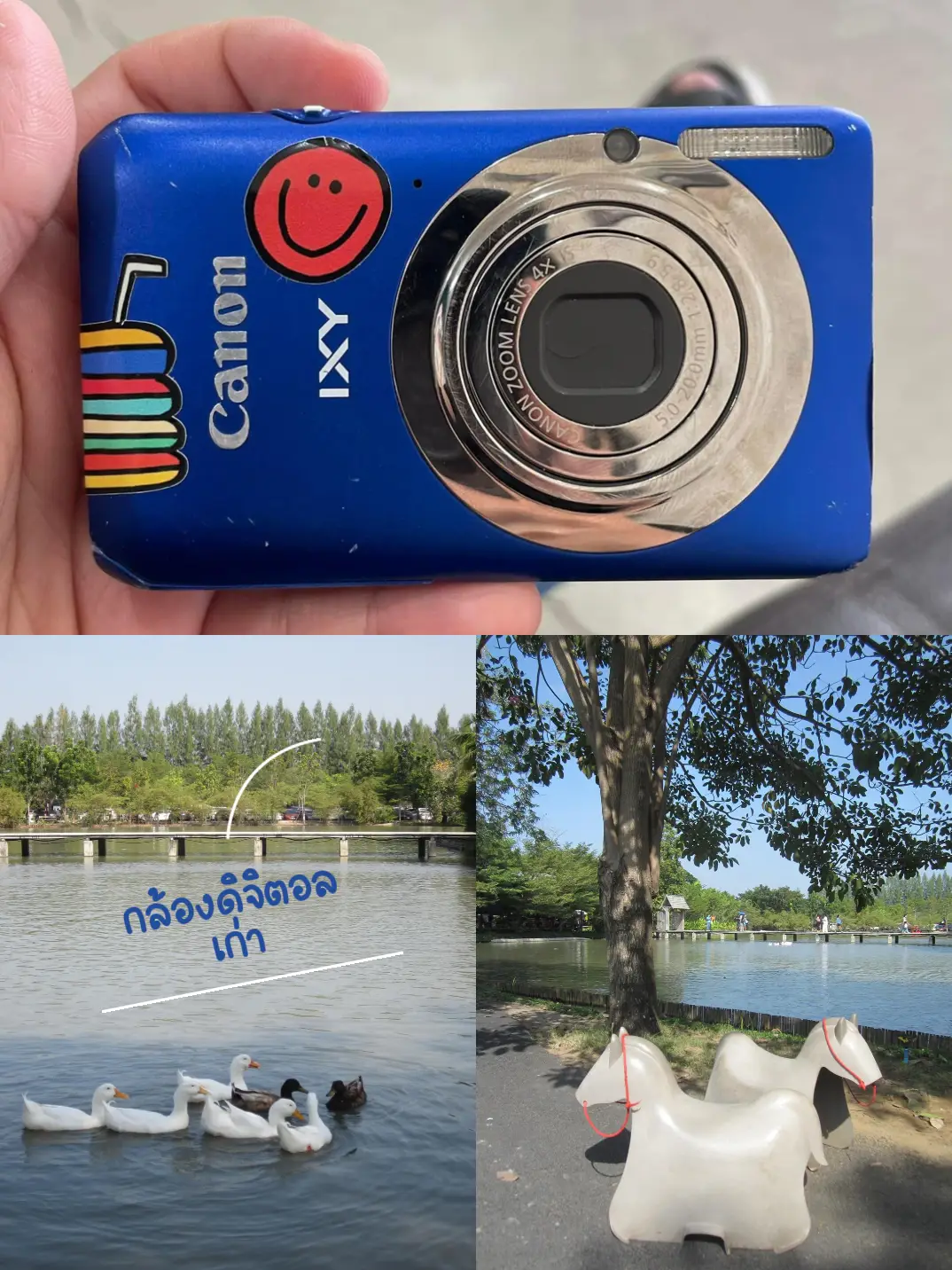 Canon ixy 210f | Gallery posted by Ccurb | Lemon8