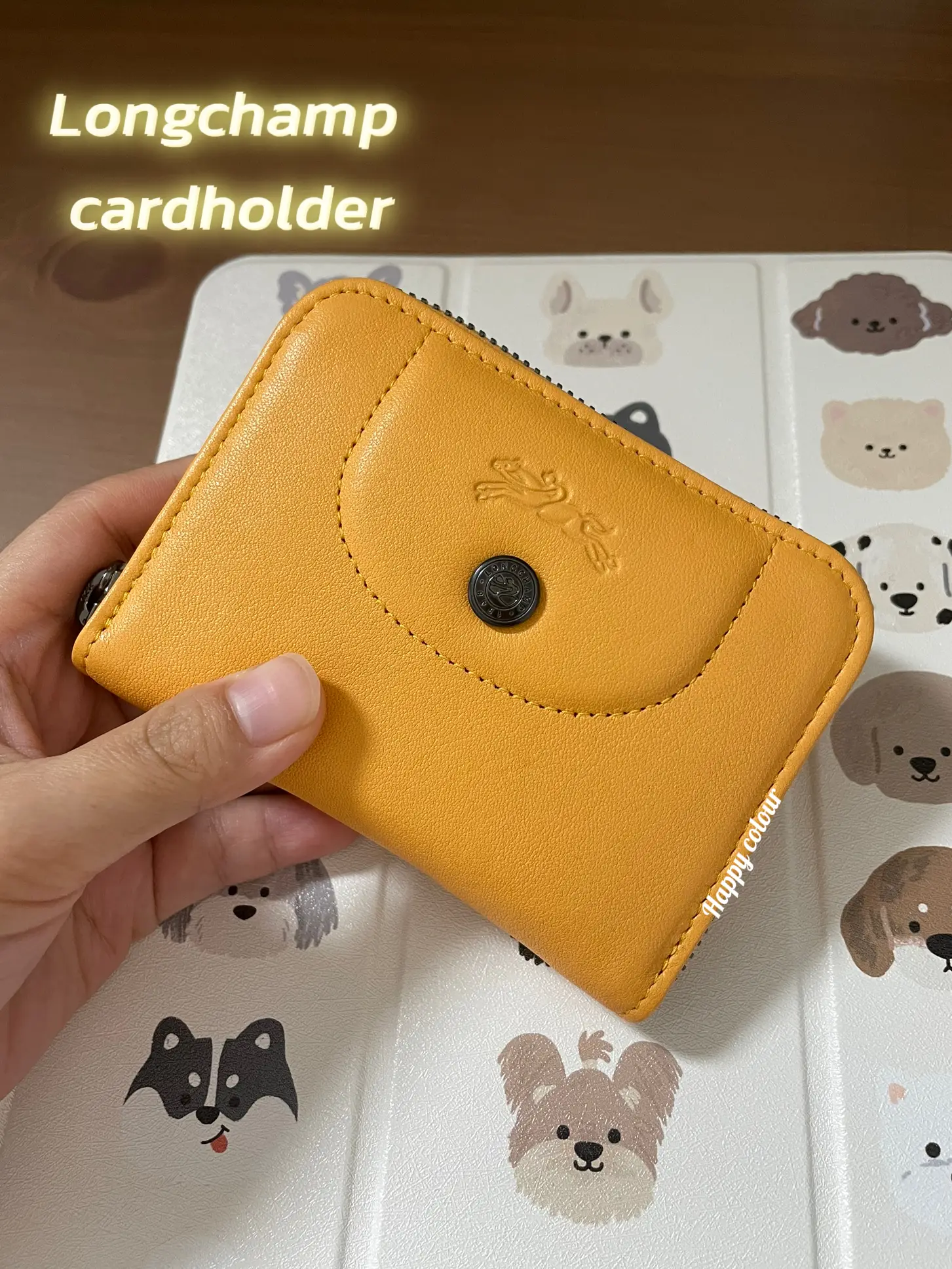 Worth the Splurge: LV card holder, Gallery posted by Lexirosenstein